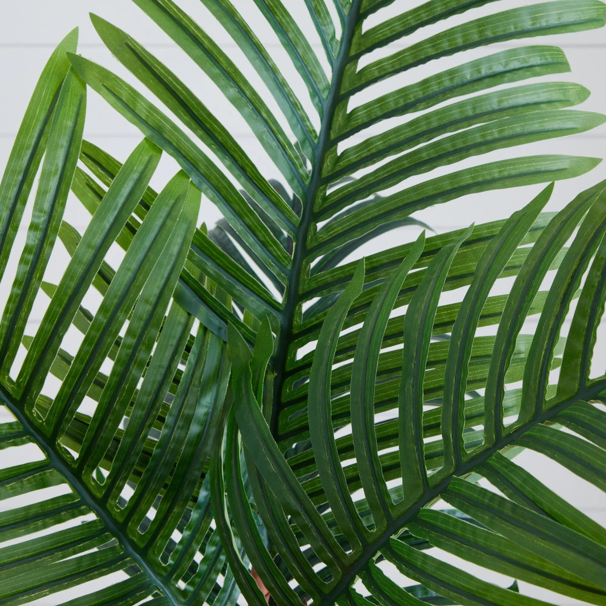 5’ Paradise Palm Artificial Tree in Sand Colored Planter - Image 2