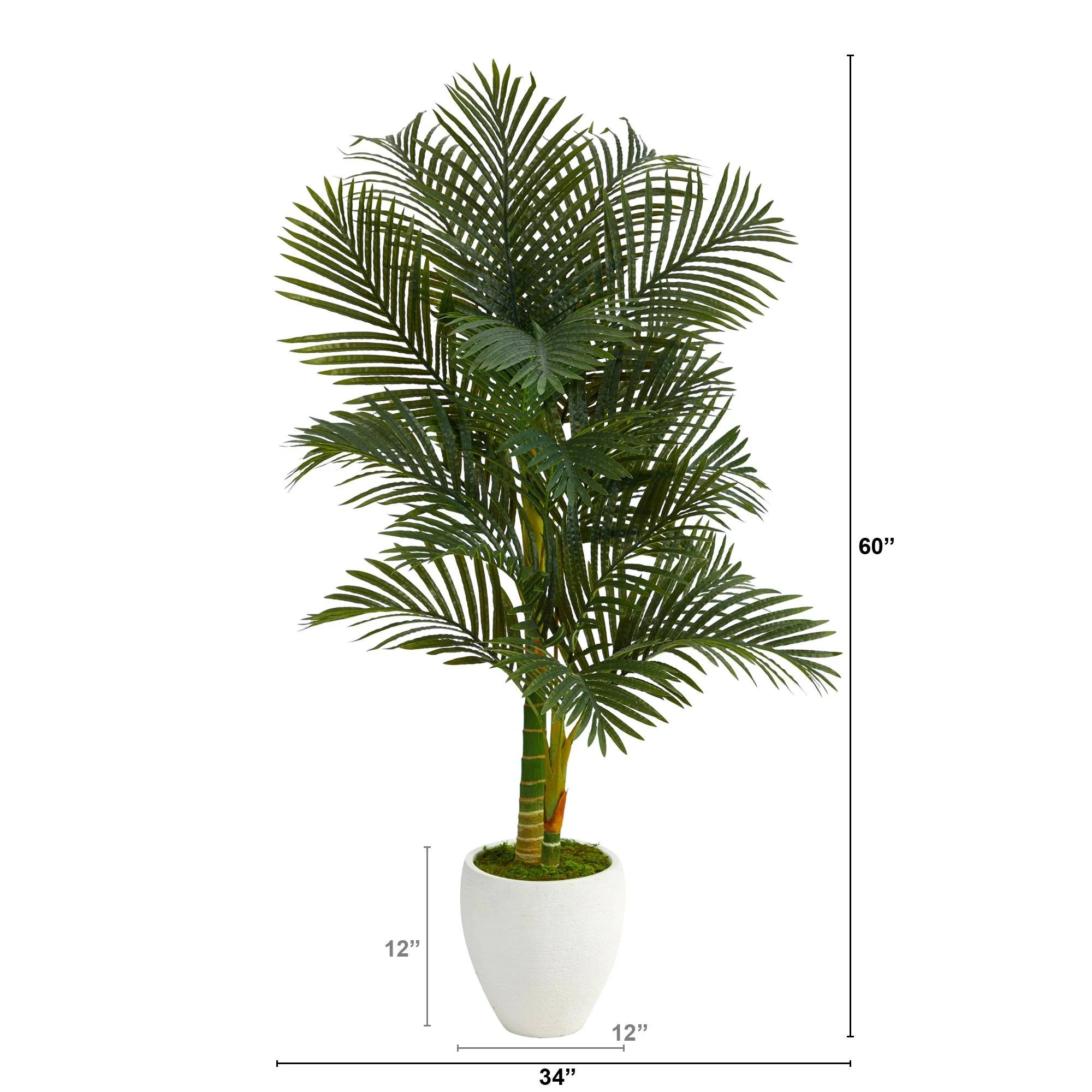 5’ Paradise Palm Artificial Tree in White Planter with Faux Moss - Image 2