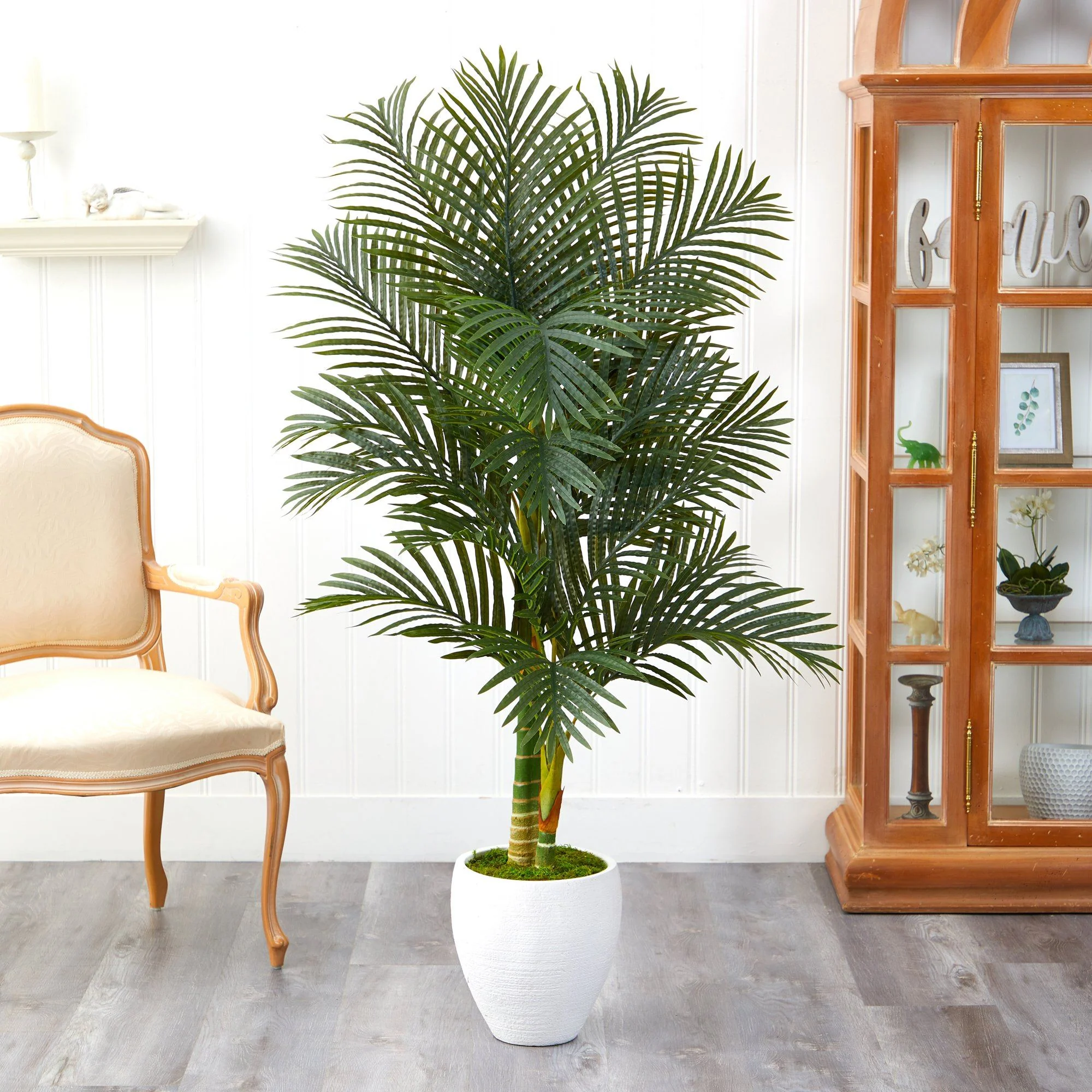 5’ Paradise Palm Artificial Tree in White Planter with Faux Moss - Image 4