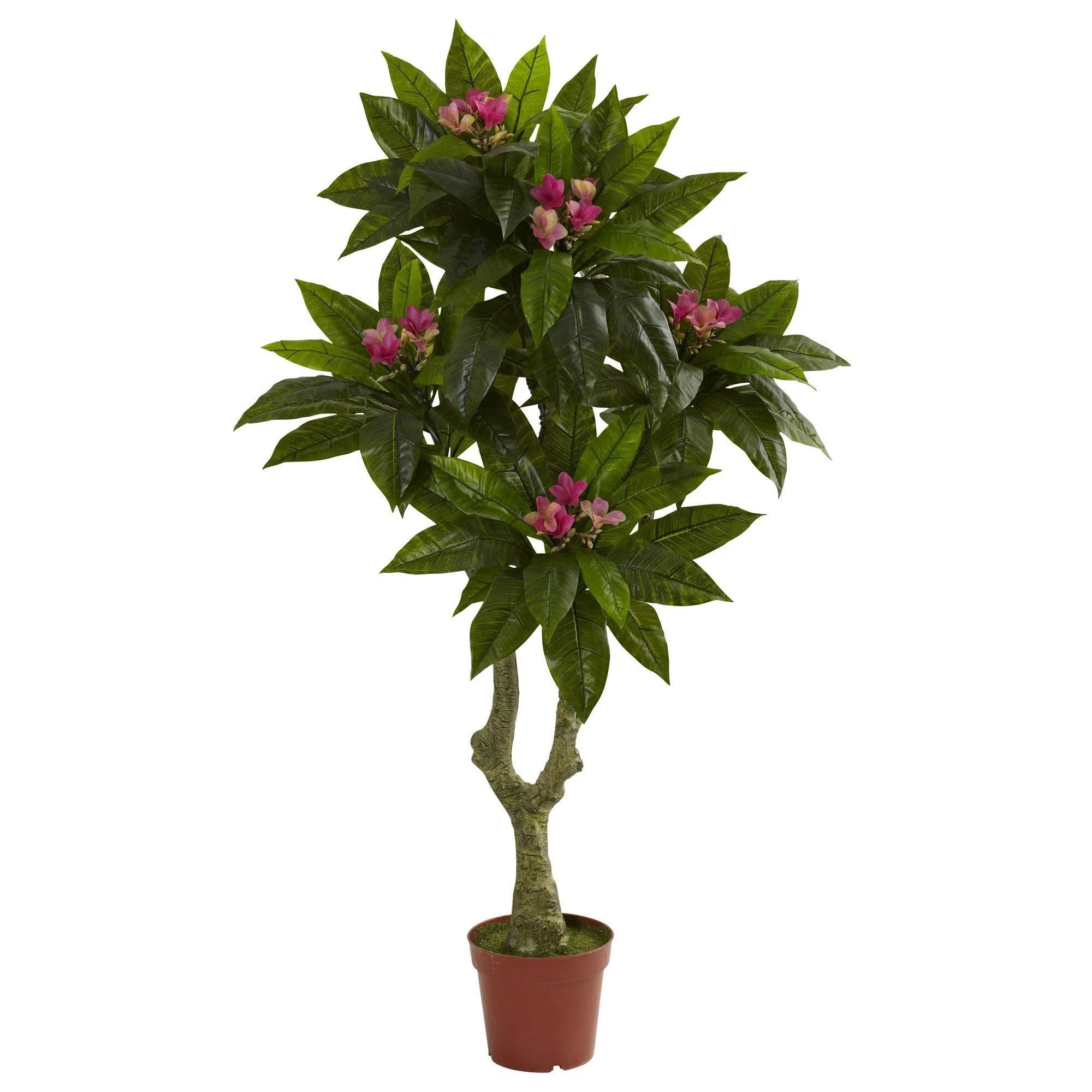 5' Plumeria Tree UV Resistant (Indoor/Outdoor) - Image 6