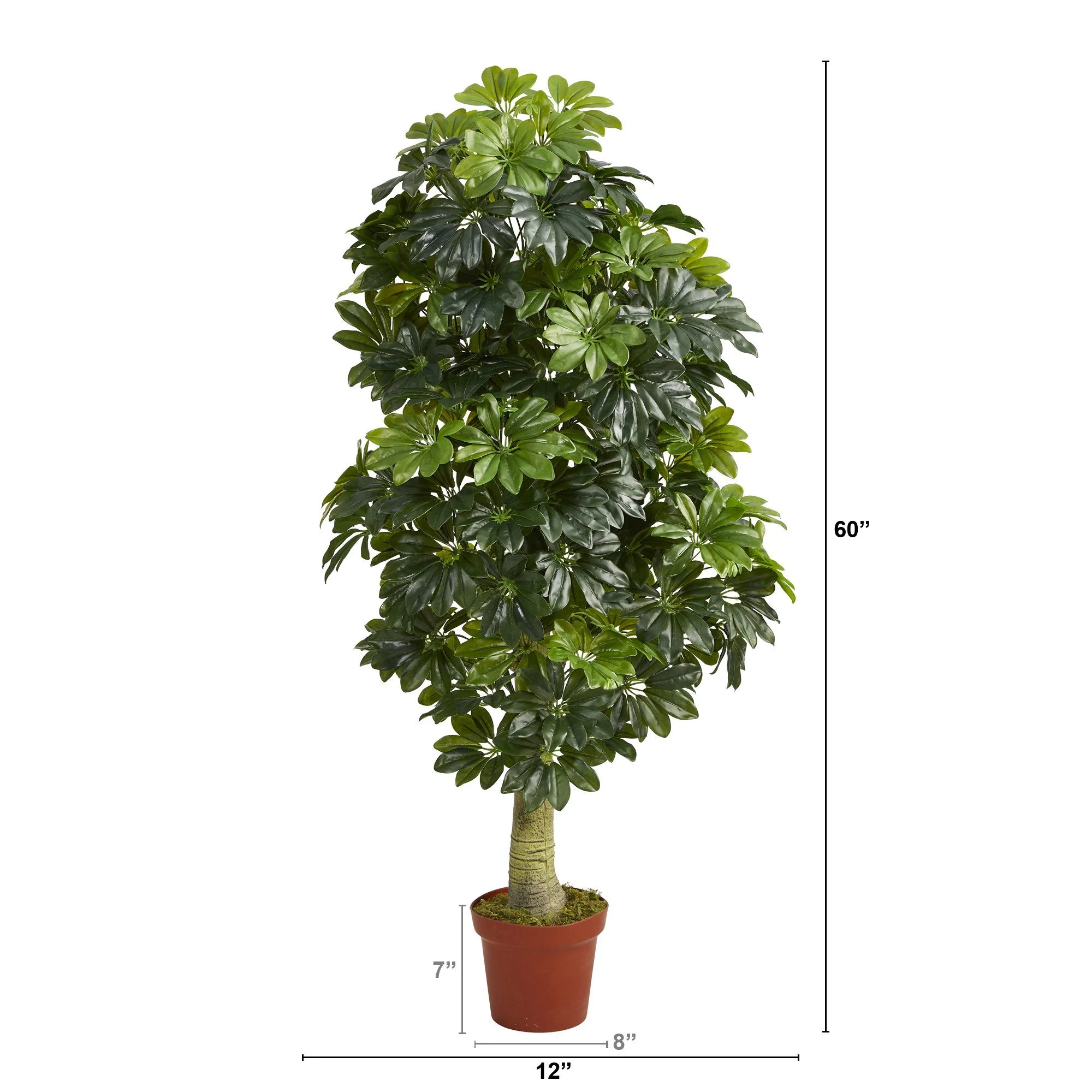 5' Schefflera Artificial Tree (Real Touch) - Image 3