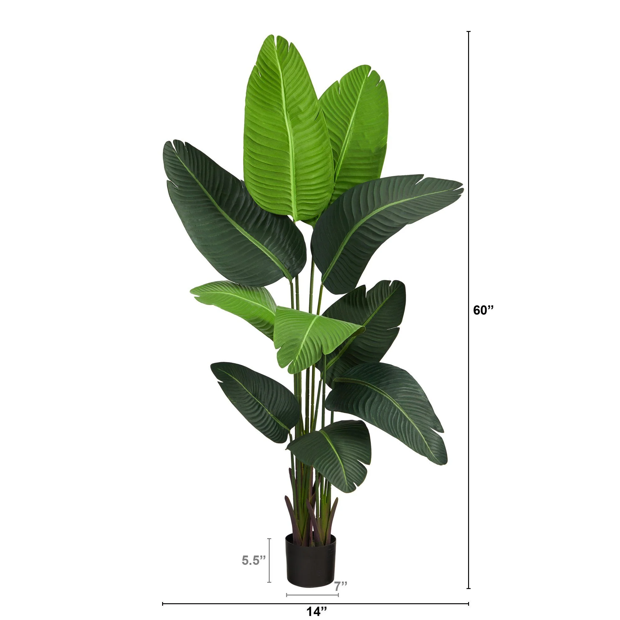 5’ Travelers Palm Artificial Tree - Image 3