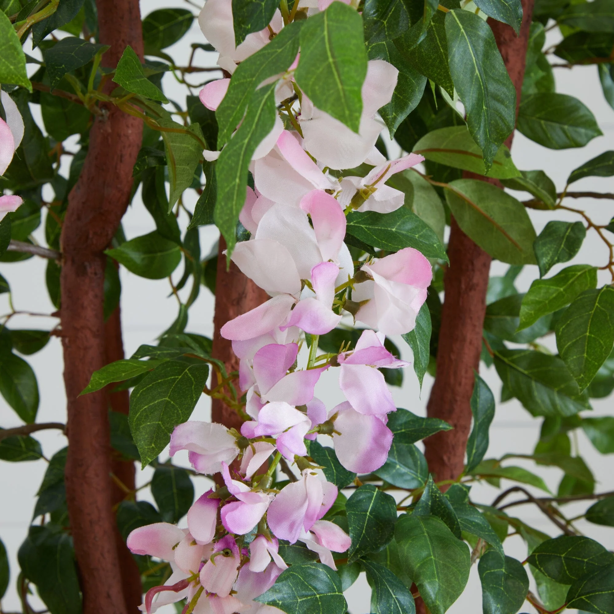 5' Wisteria Silk Tree - Image 2