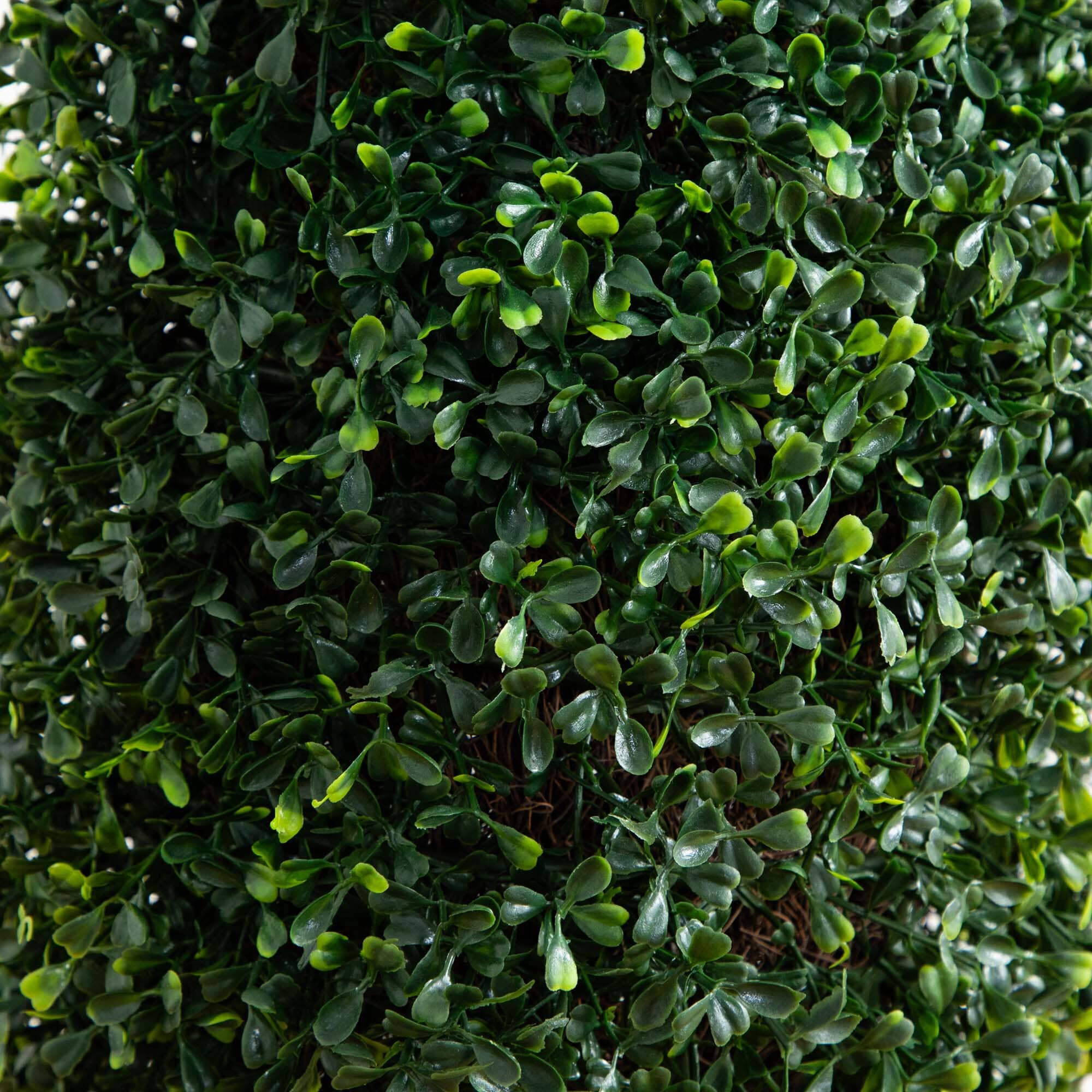 50” Boxwood Topiary with Gray Cylindrical Planter UV Resistant (Indoor/Outdoor) - Image 2