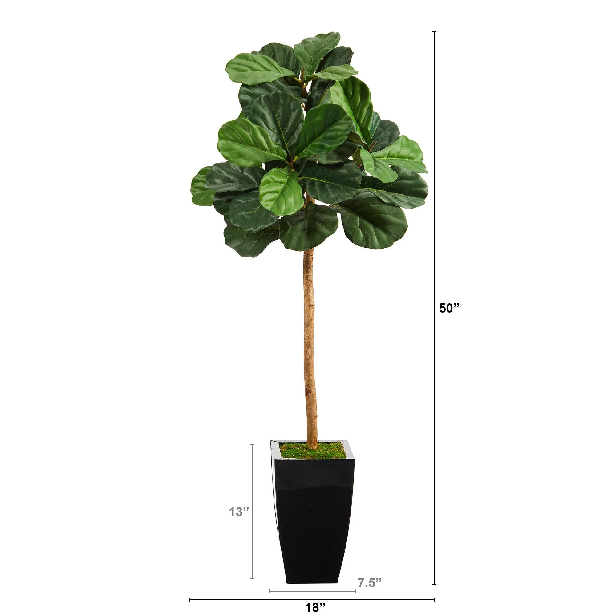 50” Fiddle Leaf Artificial Tree in Black Metal Planter - Image 2