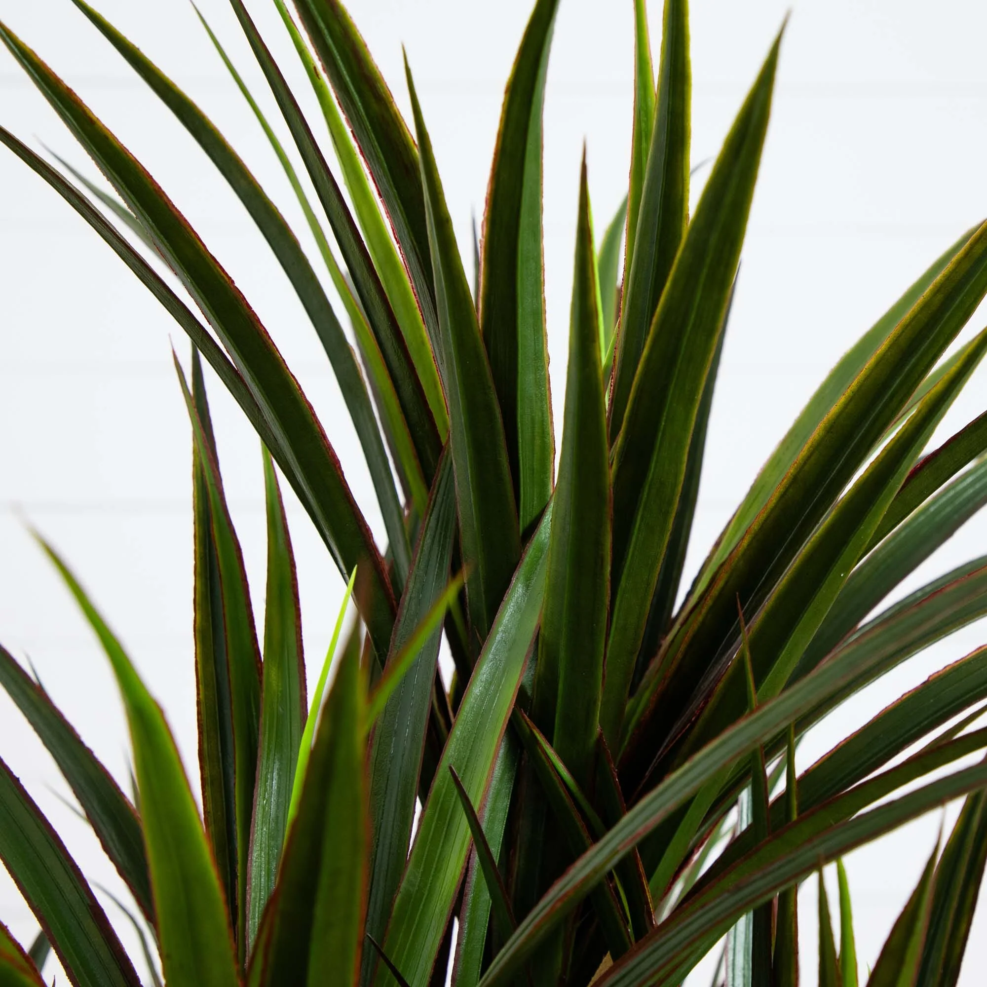 50” Yucca Artificial Tree in Planter (Indoor/Outdoor) - Image 2