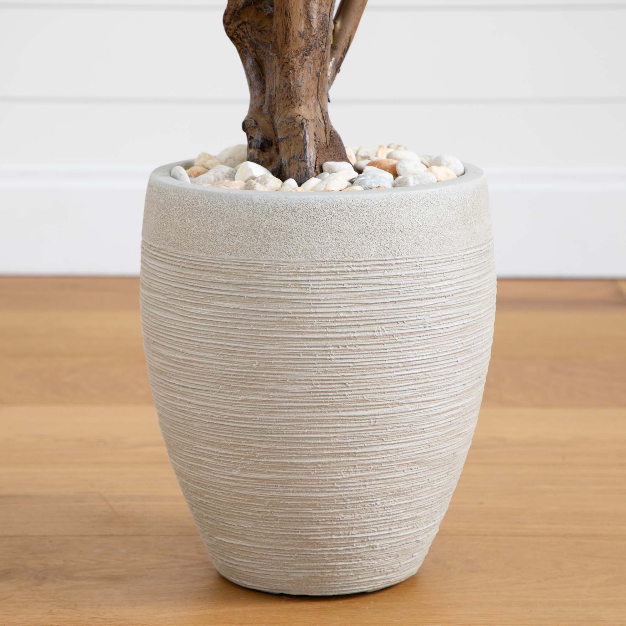 50” Yucca Artificial Tree in Planter (Indoor/Outdoor) - Image 4