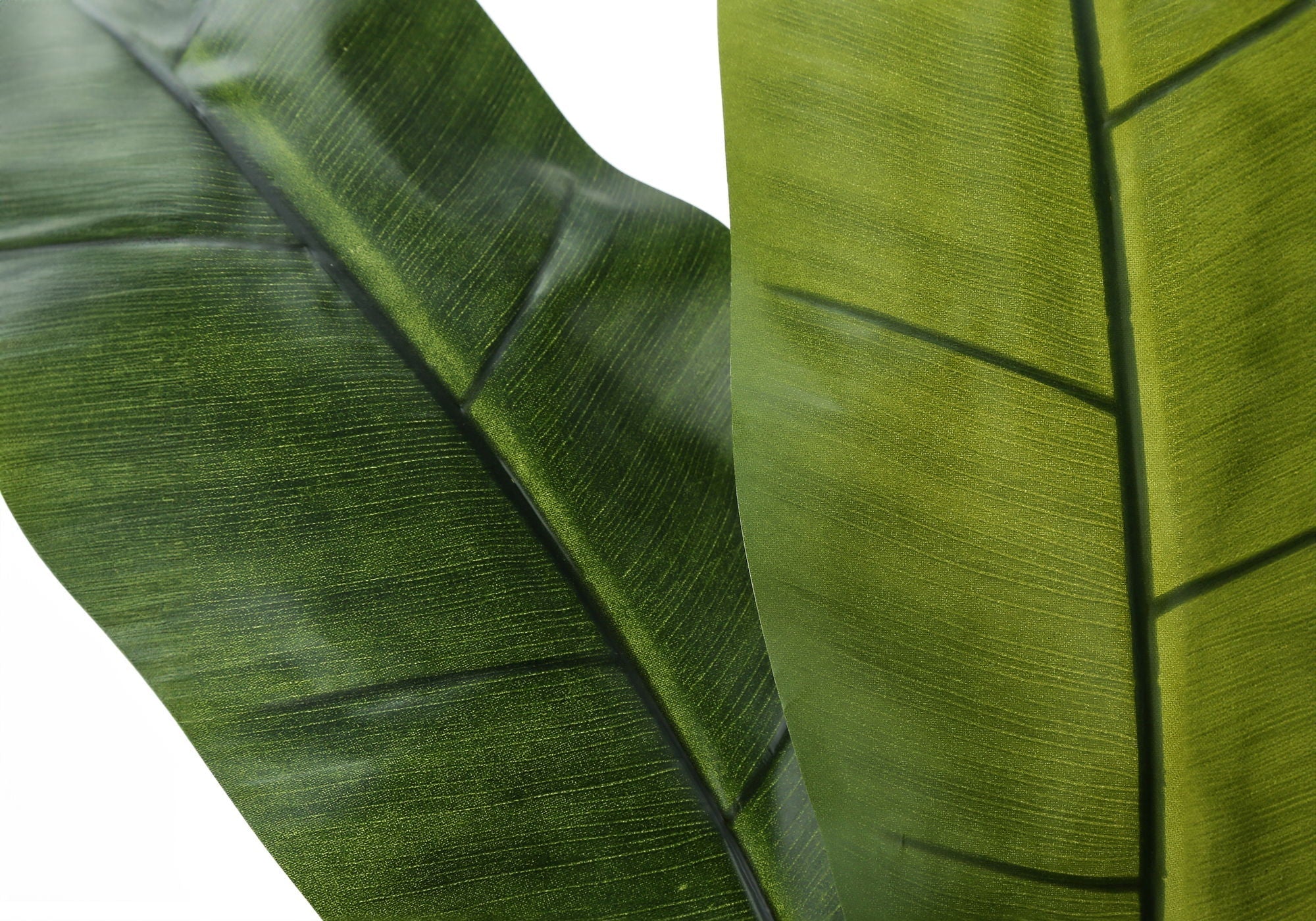 55" Tall, Artificial Plant, Banana Tree, Indoor, Faux, Fake, Floor, Greenery, Potted, Real Touch, Decorative - Green / Black - Image 3