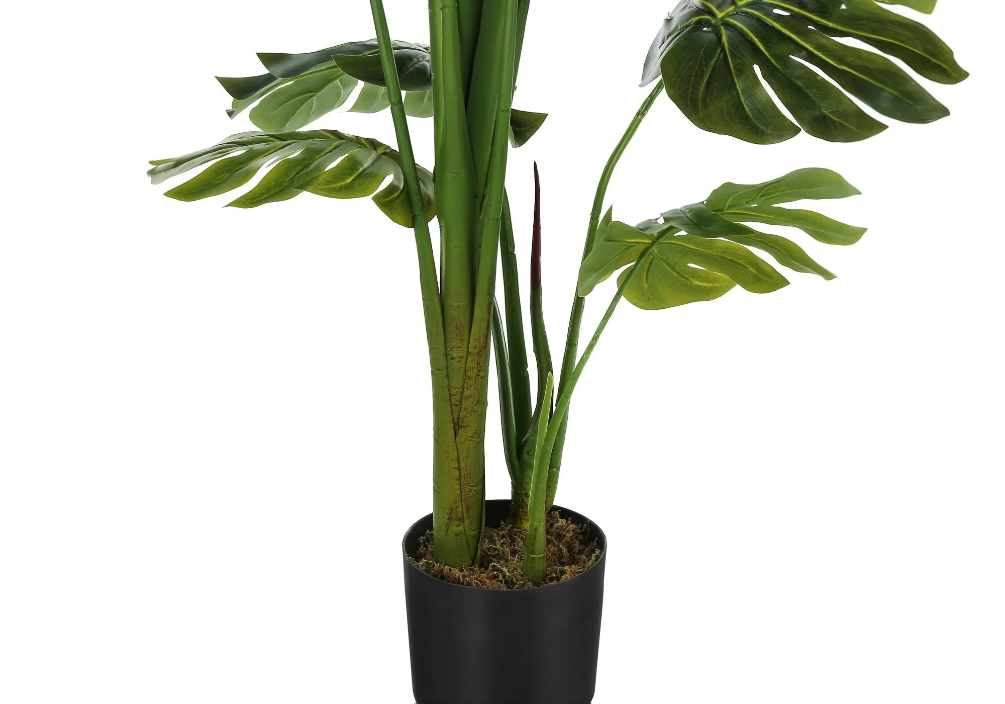 55" Tall, Artificial Plant, Monstera Tree, Indoor, Faux, Fake, Floor, Greenery, Potted, Real Touch, Decorative - Green / Black - Image 4
