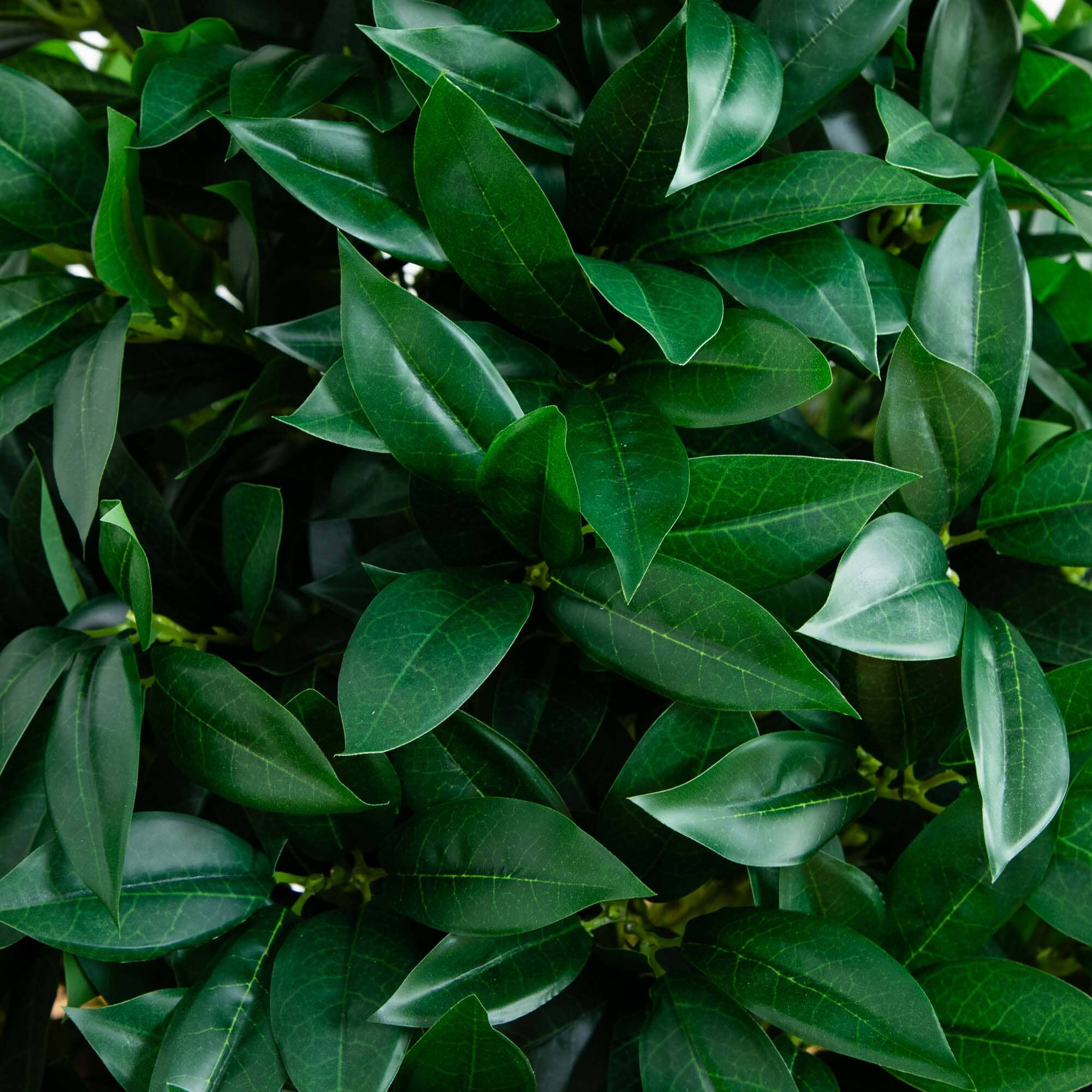 56” Bay Leaf Cone Topiary Artificial Tree UV Resistant in Black Planter (Indoor/Outdoor) - Image 2