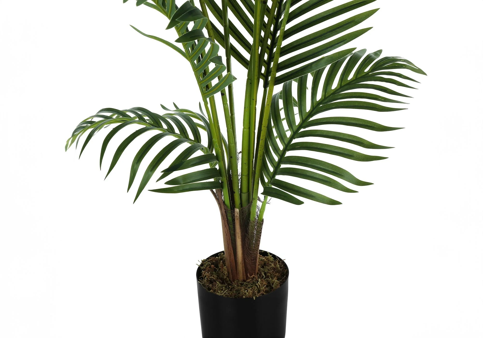 57" Tall, Artificial Plant, Palm Tree, Indoor, Faux, Fake, Floor, Greenery, Potted, Real Touch, Decorative - Green / Black - Image 2