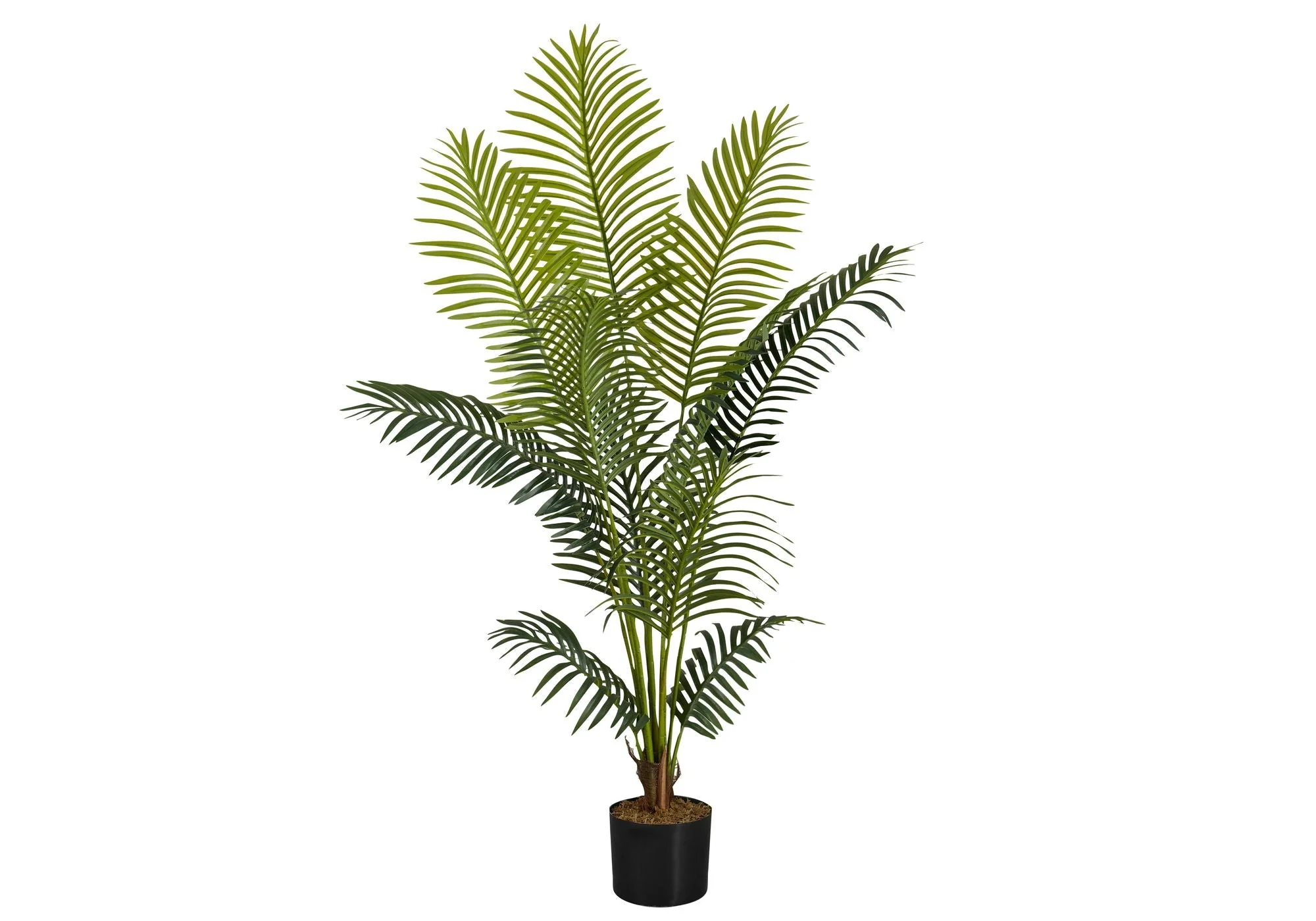 57" Tall, Artificial Plant, Palm Tree, Indoor, Faux, Fake, Floor, Greenery, Potted, Real Touch, Decorative - Green / Black - Image 4