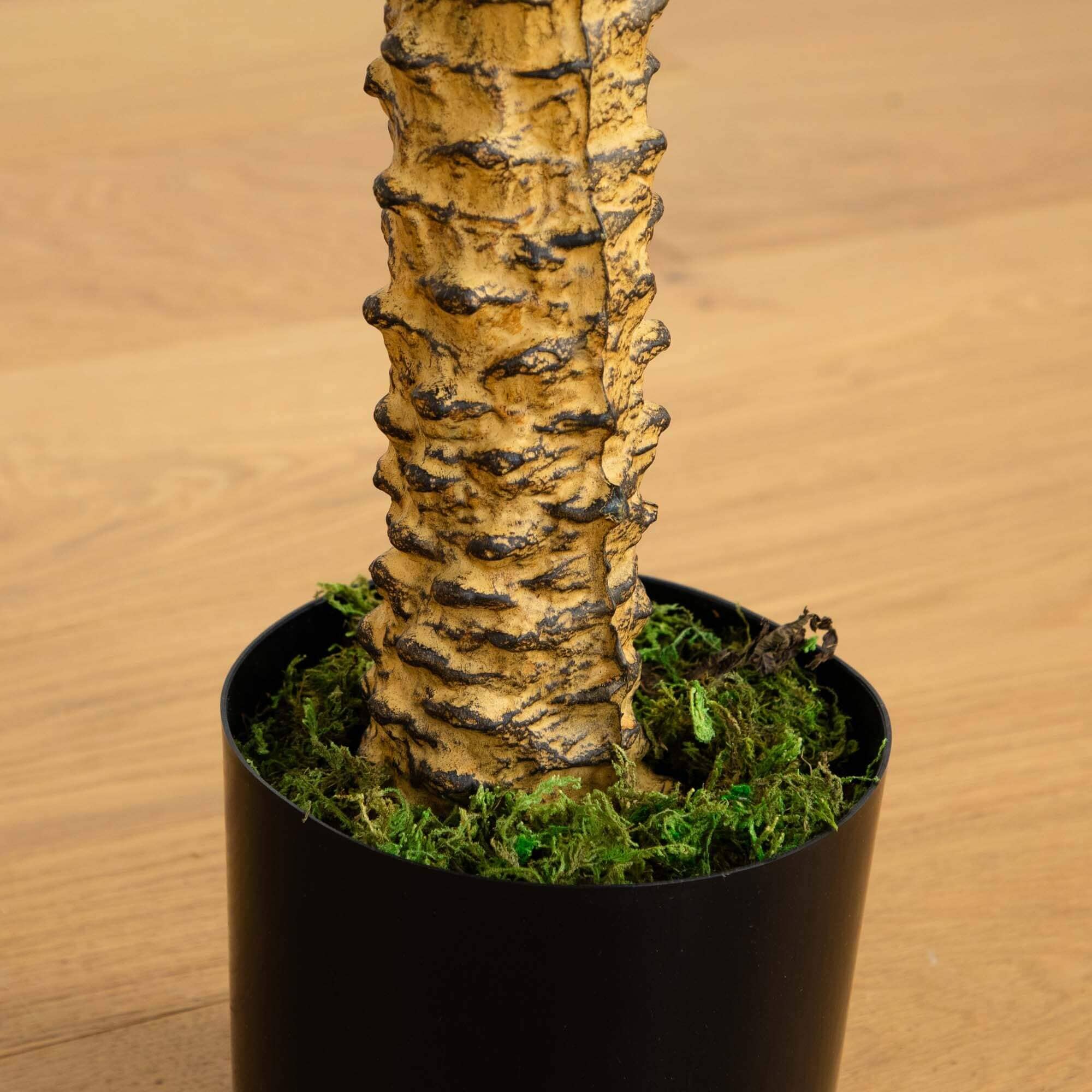 58” Robellini Palm Artificial Tree - Image 4