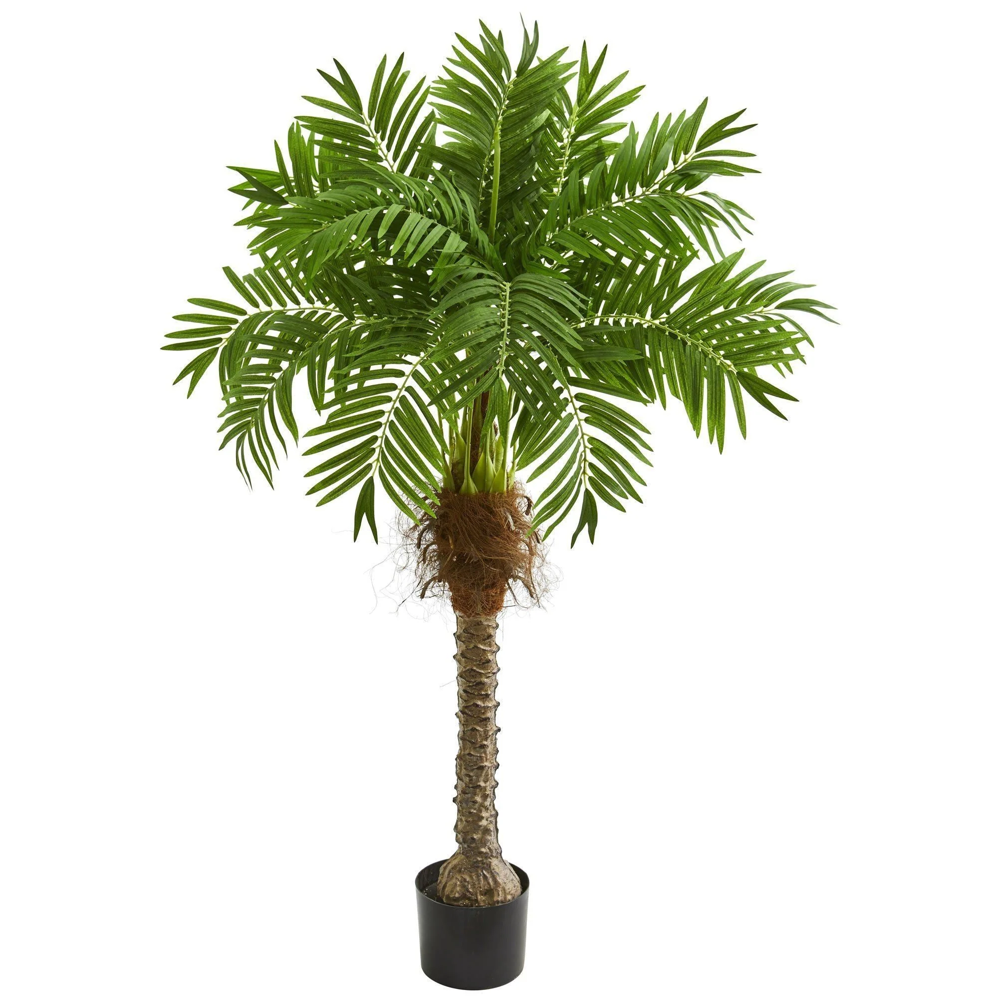 58” Robellini Palm Artificial Tree - Image 5