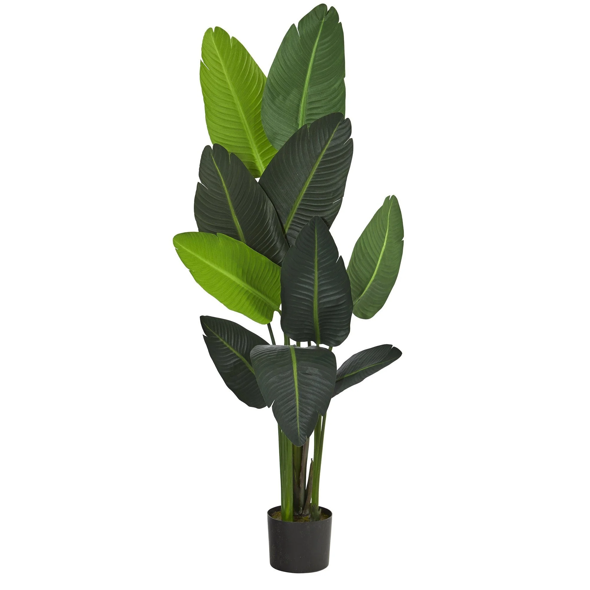 58” Traveler's Palm Artificial tree - Image 6
