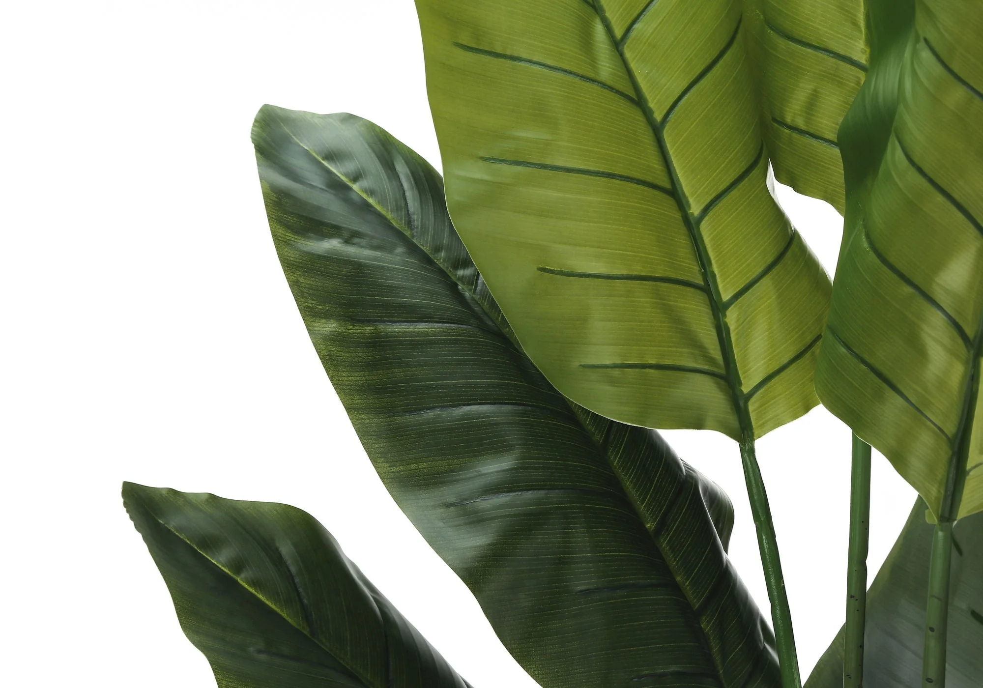 59" Tall, Artificial Plant, Strelitzia Tree, Indoor, Faux, Fake, Floor, Greenery, Potted, Real Touch, Decorative - Green / Black - Image 2