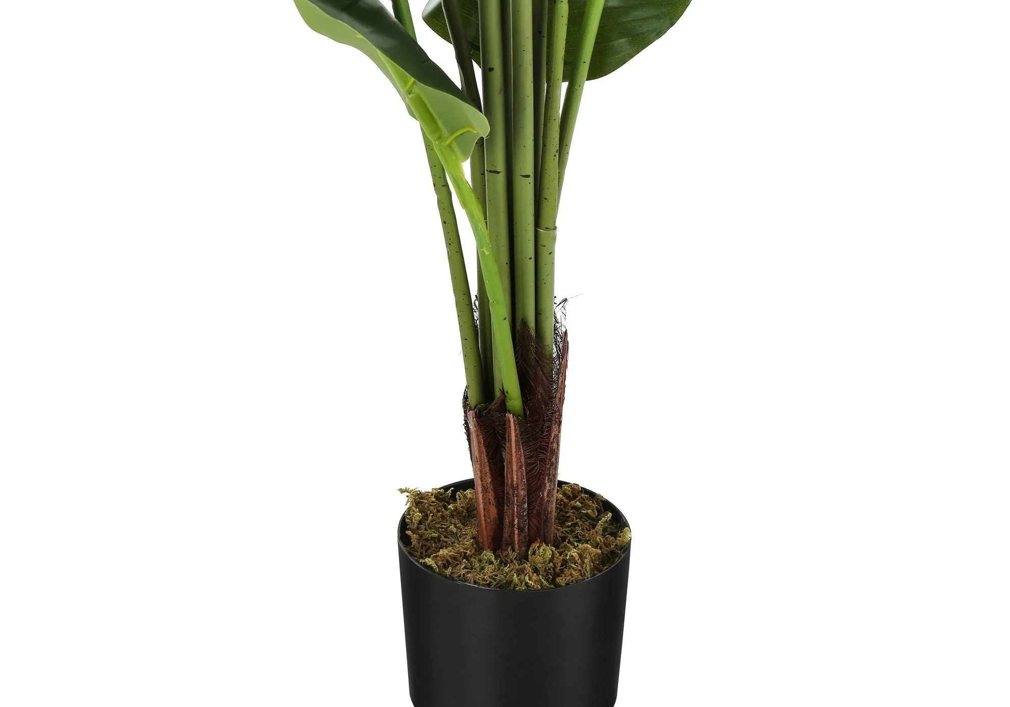 59" Tall, Artificial Plant, Strelitzia Tree, Indoor, Faux, Fake, Floor, Greenery, Potted, Real Touch, Decorative - Green / Black - Image 4