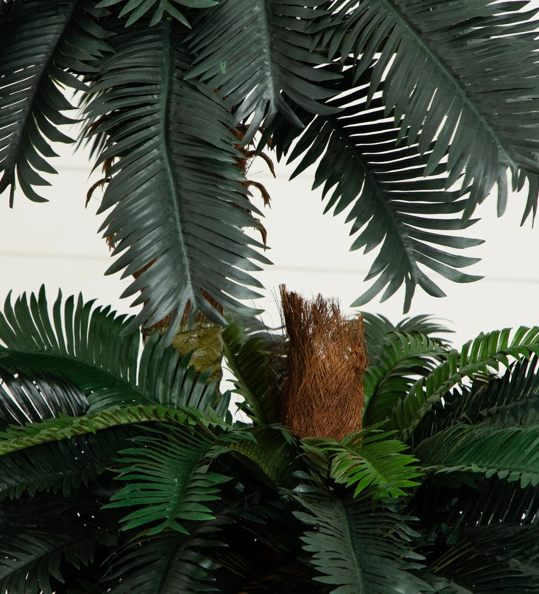 6' & 4' Sago Palm Double Potted Silk Tree - Image 2