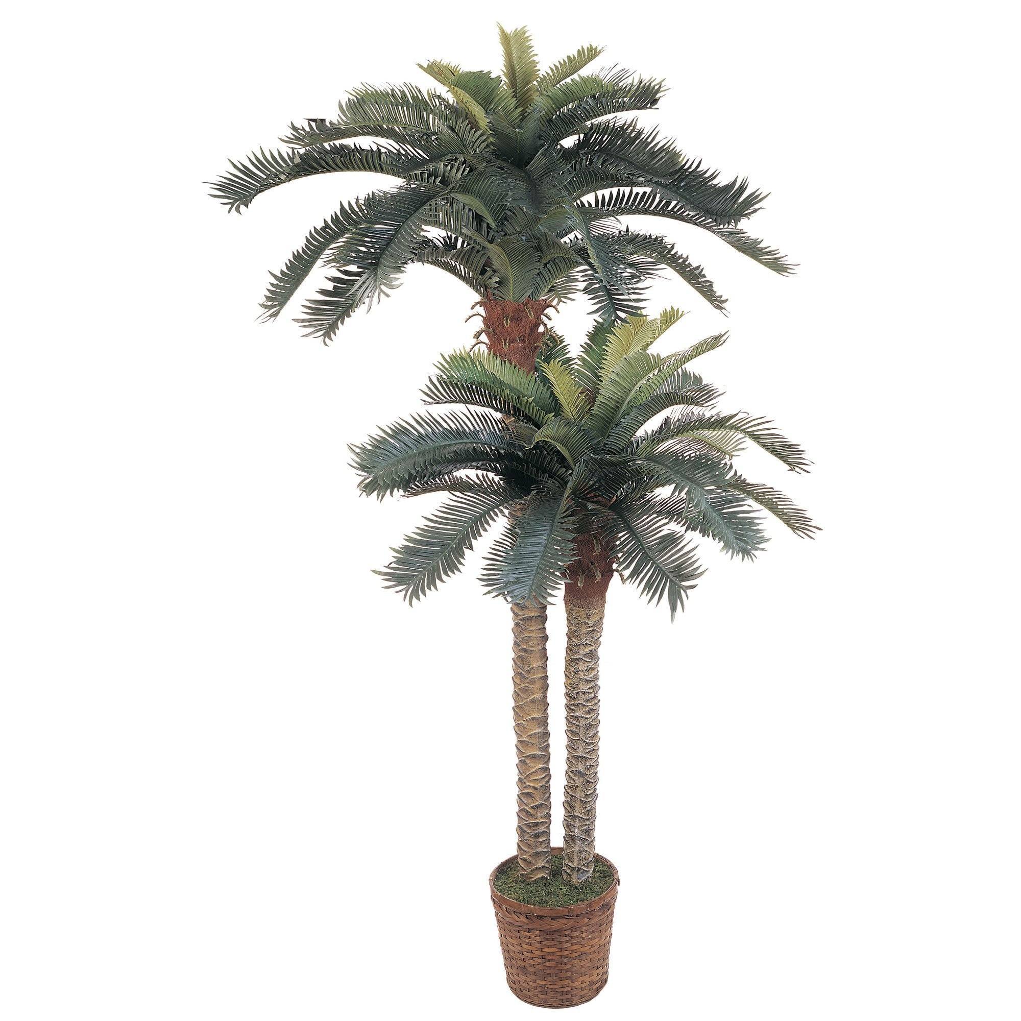 6' & 4' Sago Palm Double Potted Silk Tree - Image 5