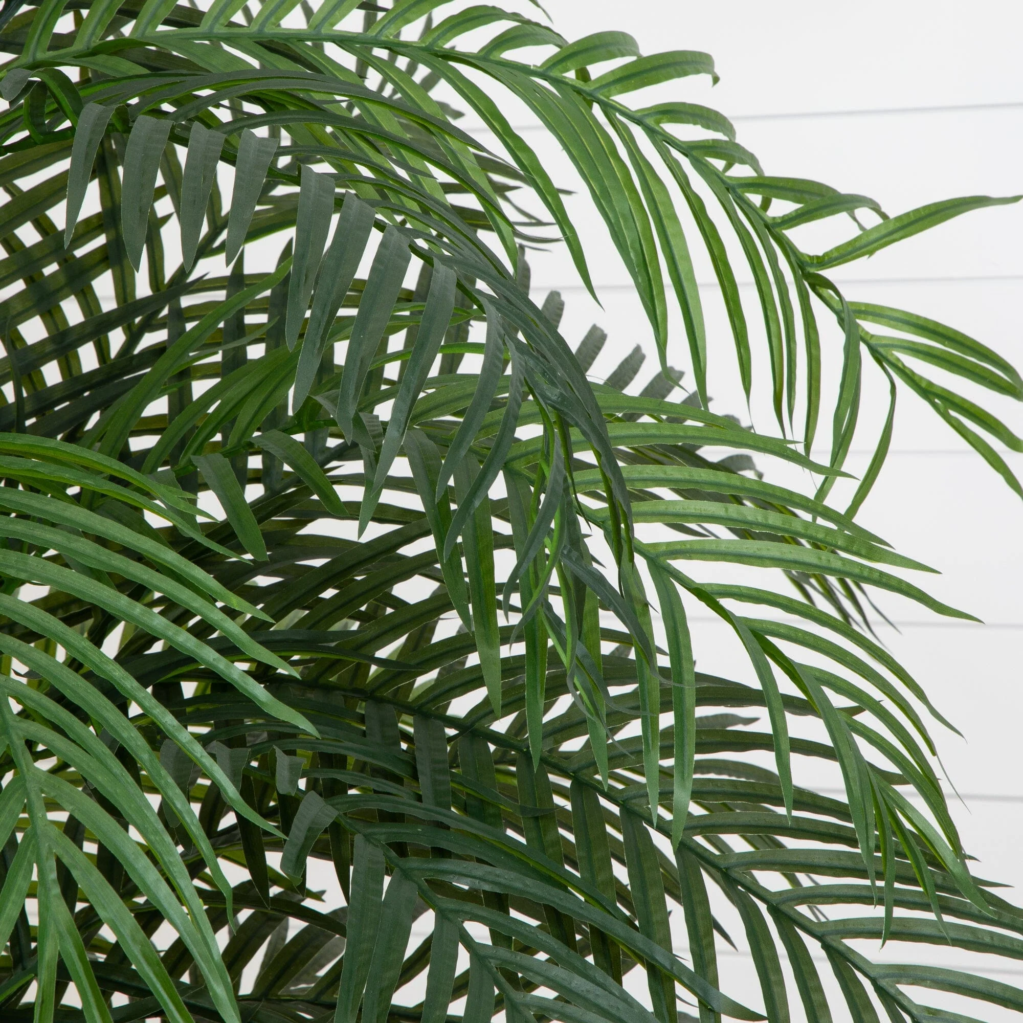6.5' Areca Palm UV Resistant (Indoor/Outdoor) - Image 2