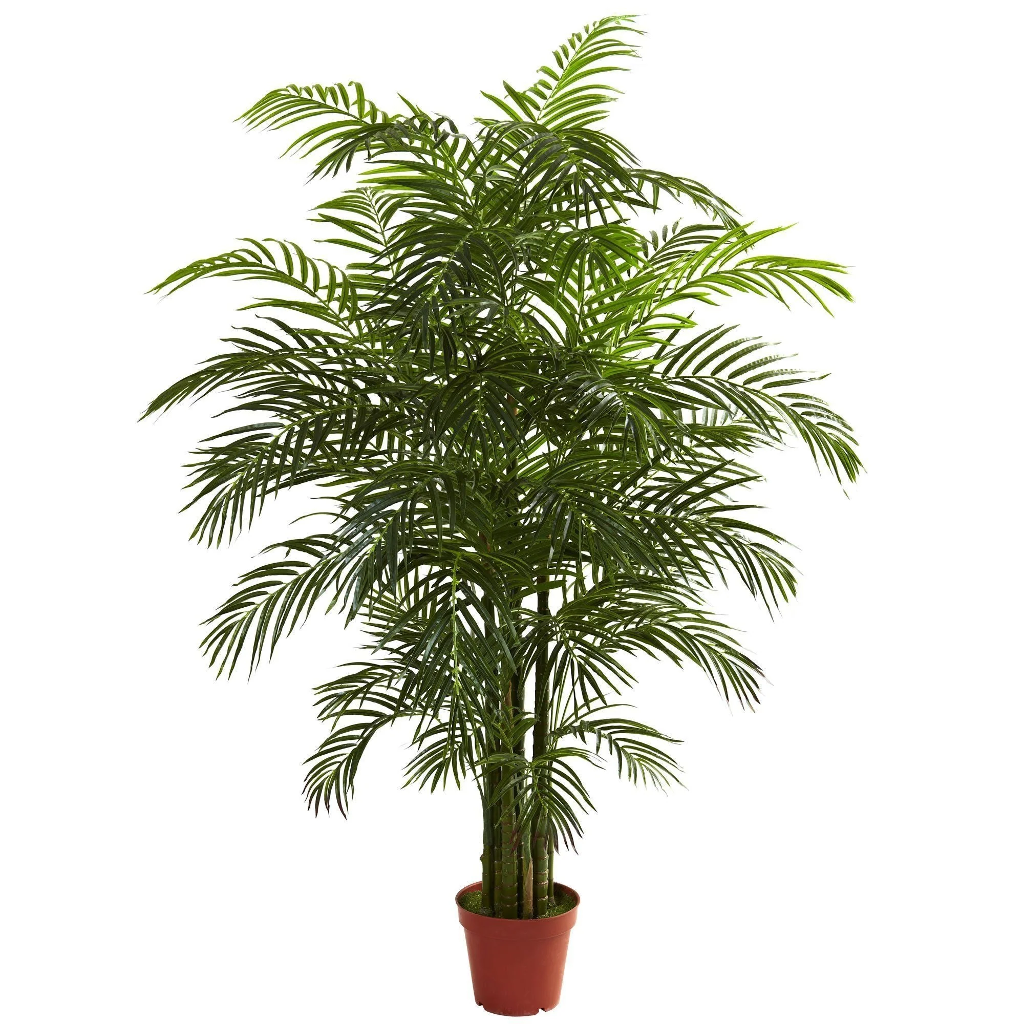 6.5' Areca Palm UV Resistant (Indoor/Outdoor) - Image 3
