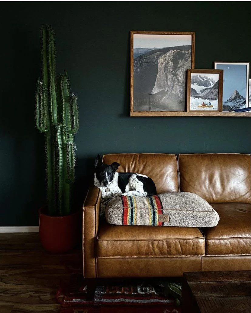 6.5’ Cactus Artificial Plant - Image 2