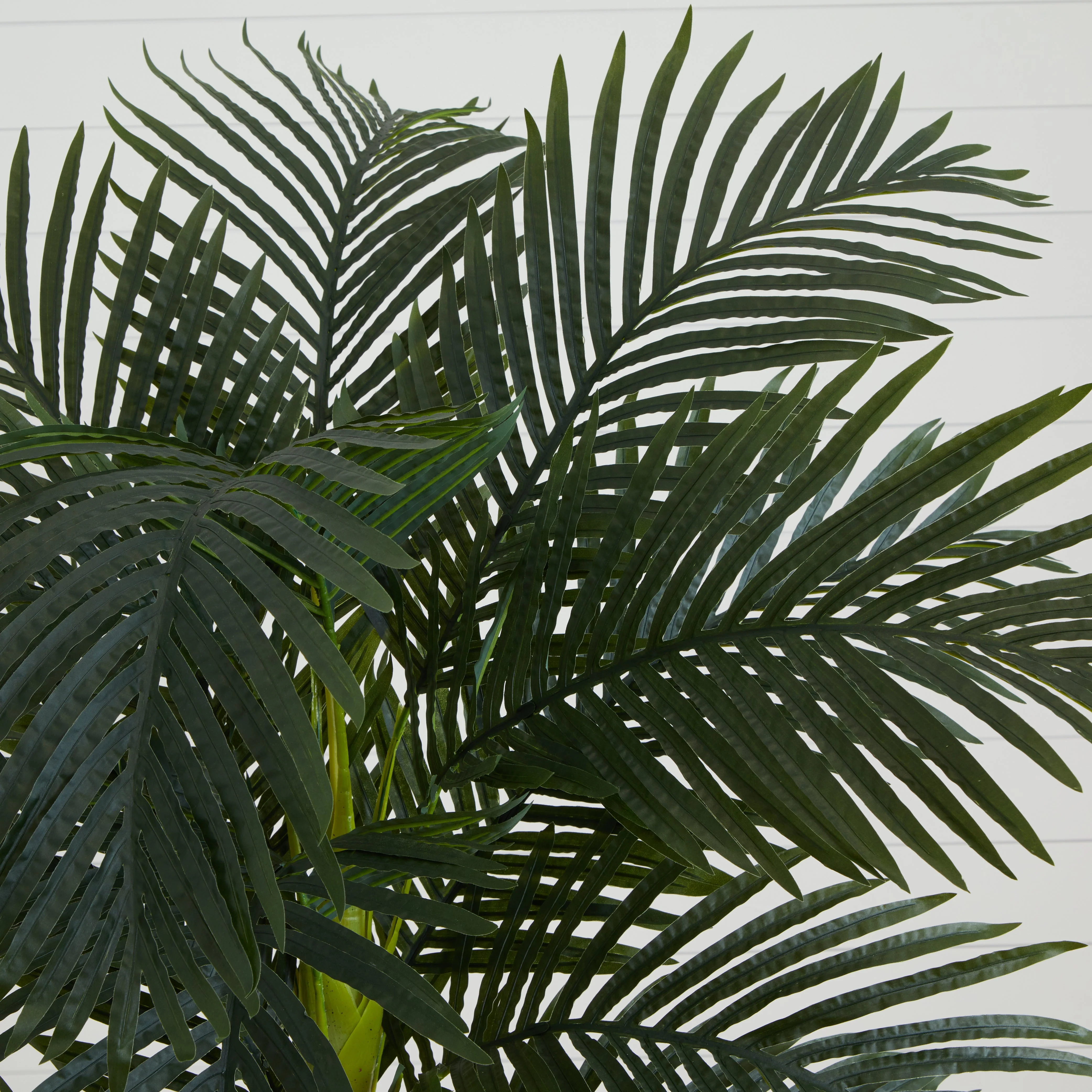 6.5' Golden Cane Artificial Palm Tree - Image 2