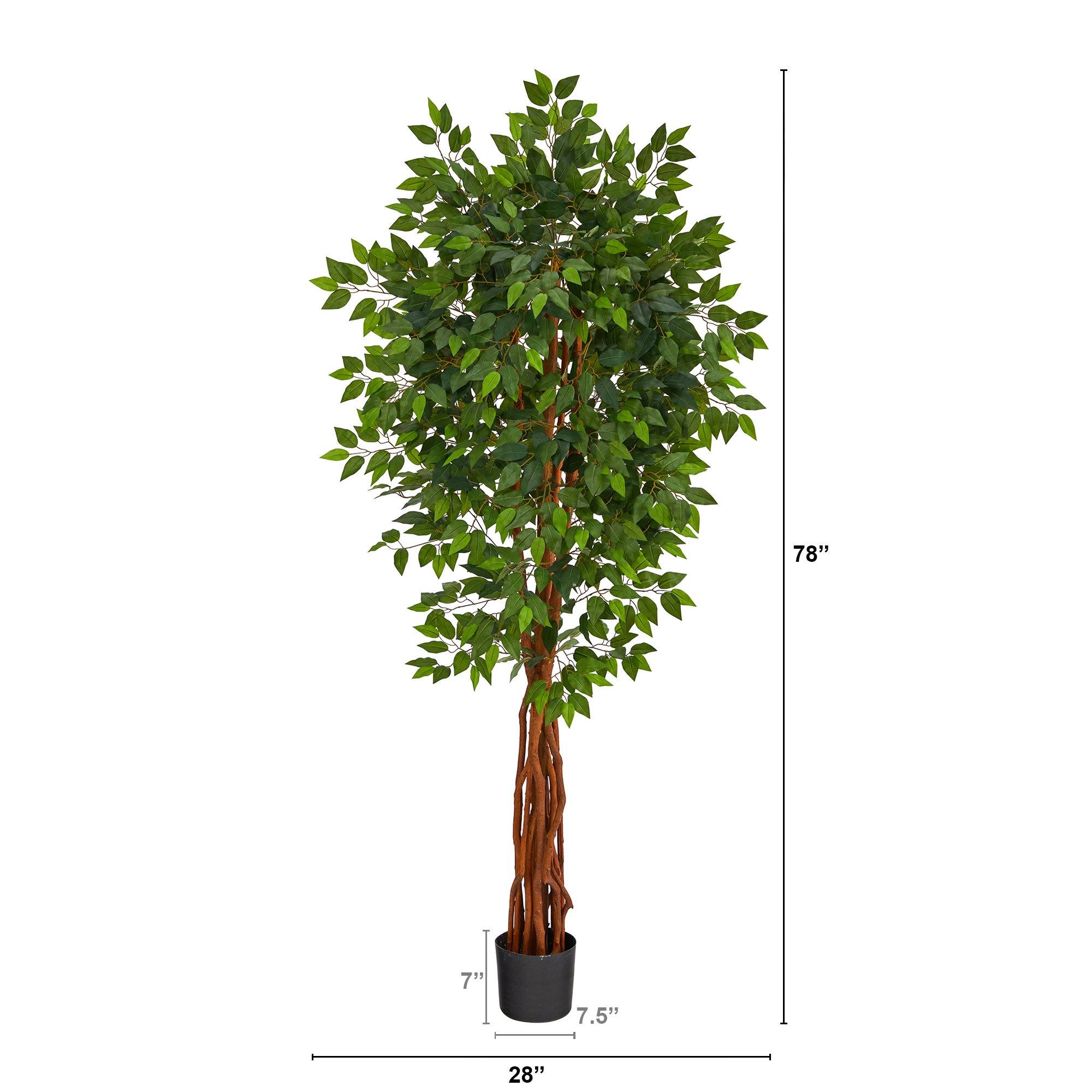 6.5’ Super Deluxe Ficus Artificial Tree with Natural Trunk - Image 2
