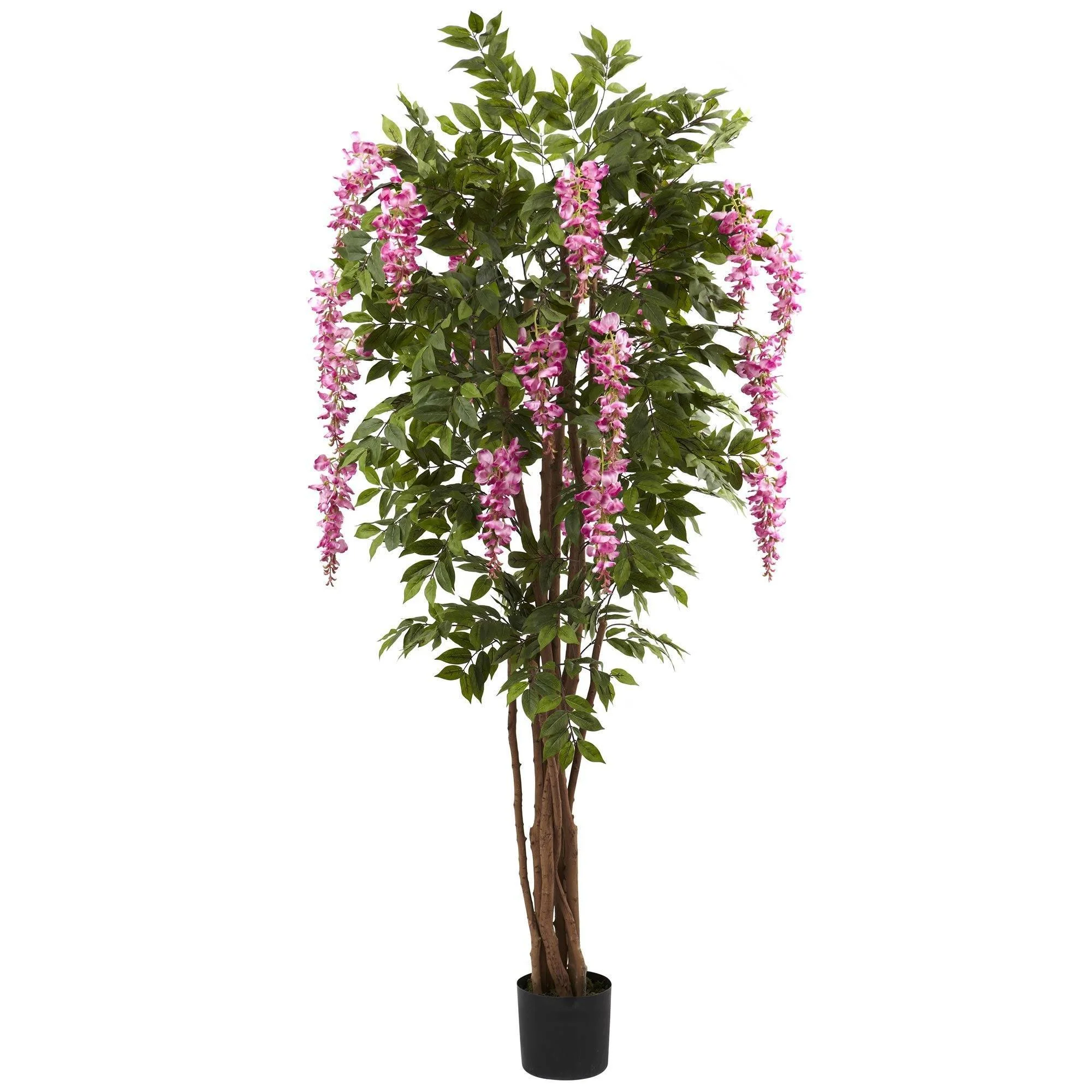 6.5’ Wisteria Silk Tree - Image 3