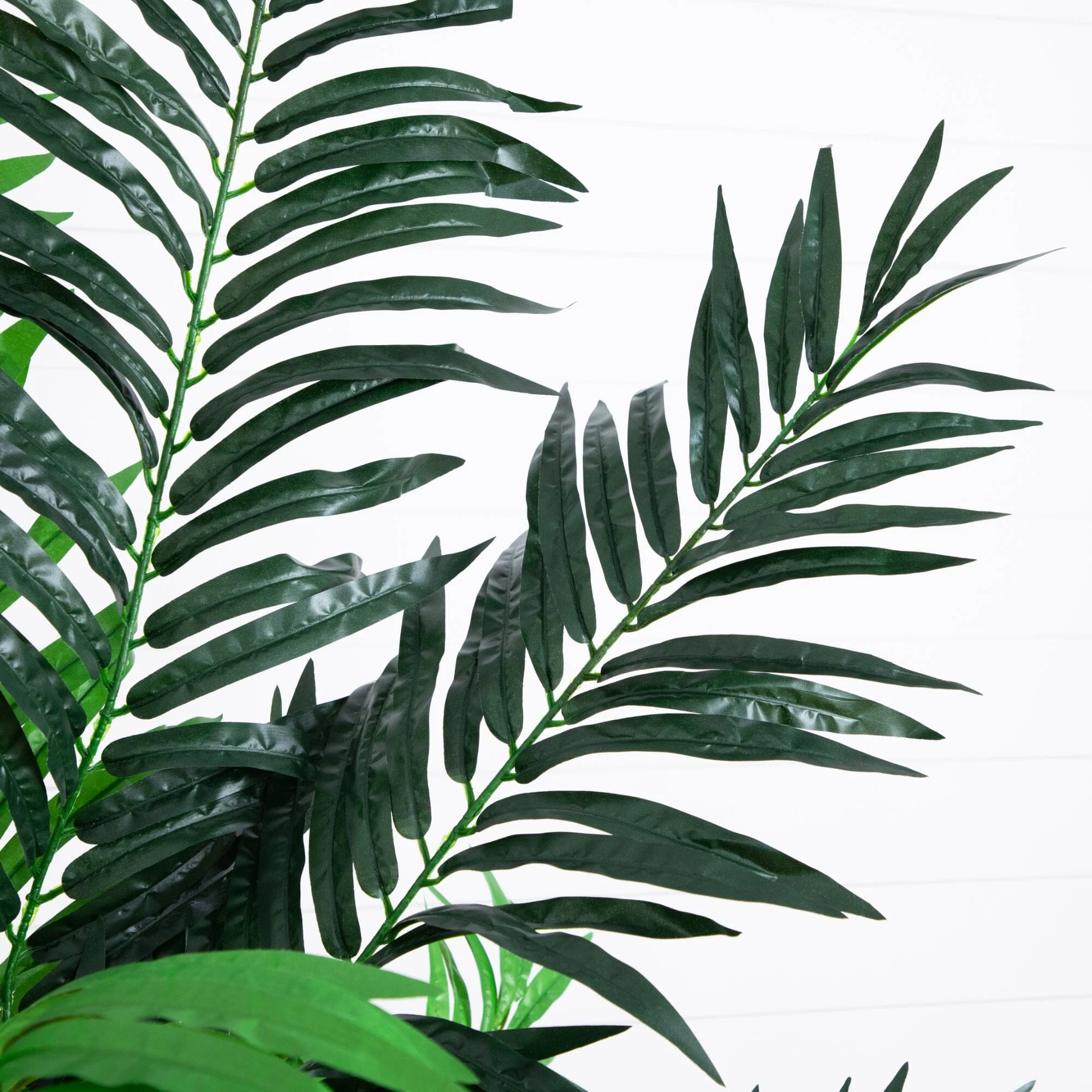 6’ Areca Palm Tree - Image 2