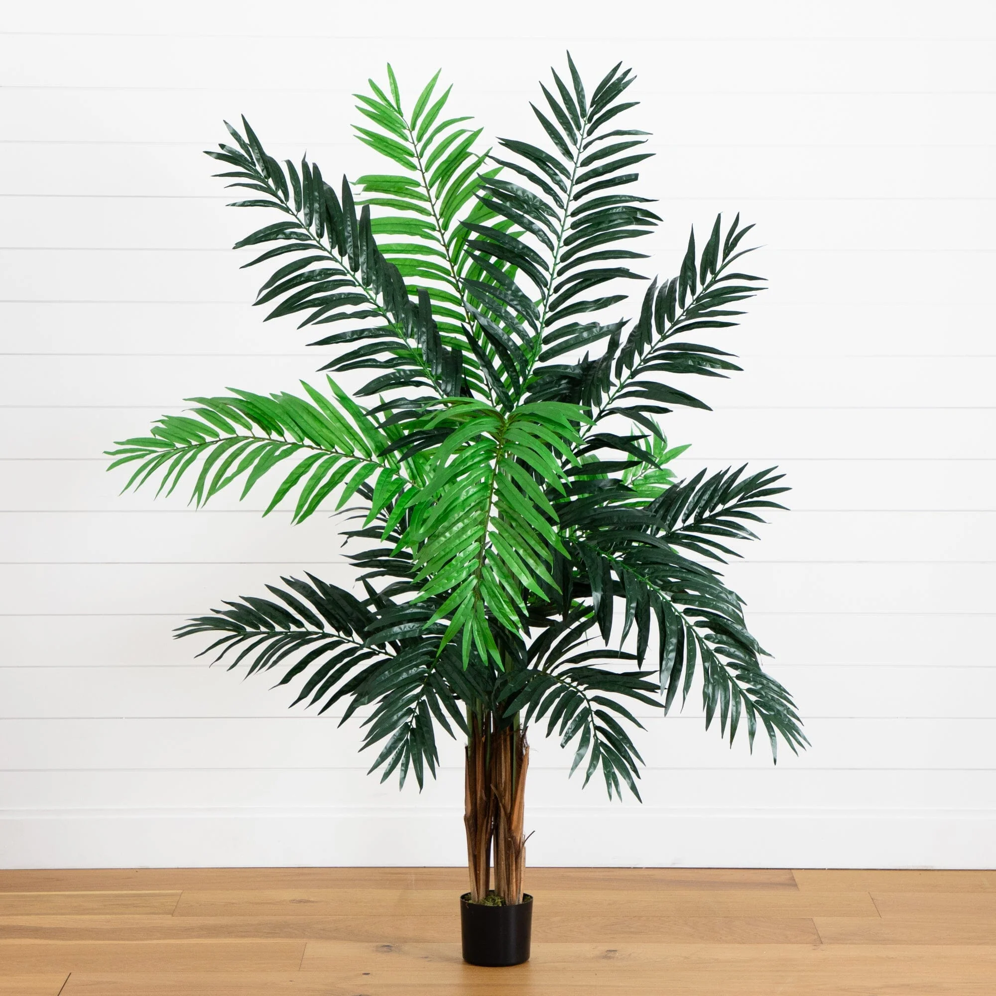6’ Areca Palm Tree - Image 3