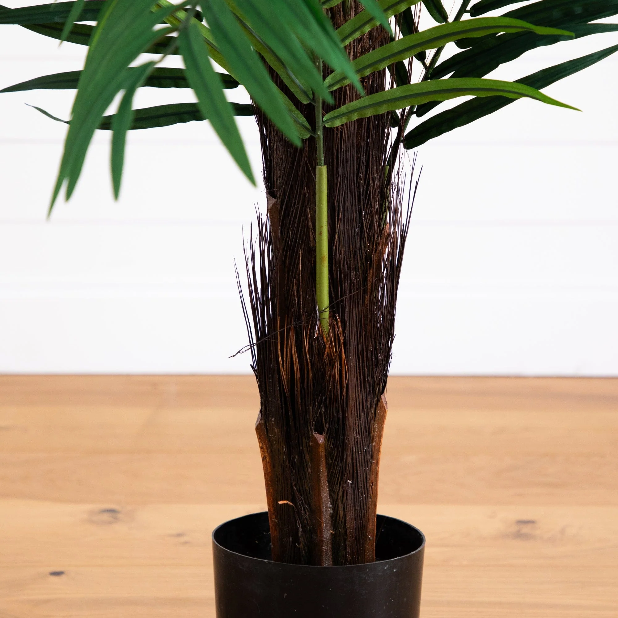 6’ Areca Palm Tree - Image 4