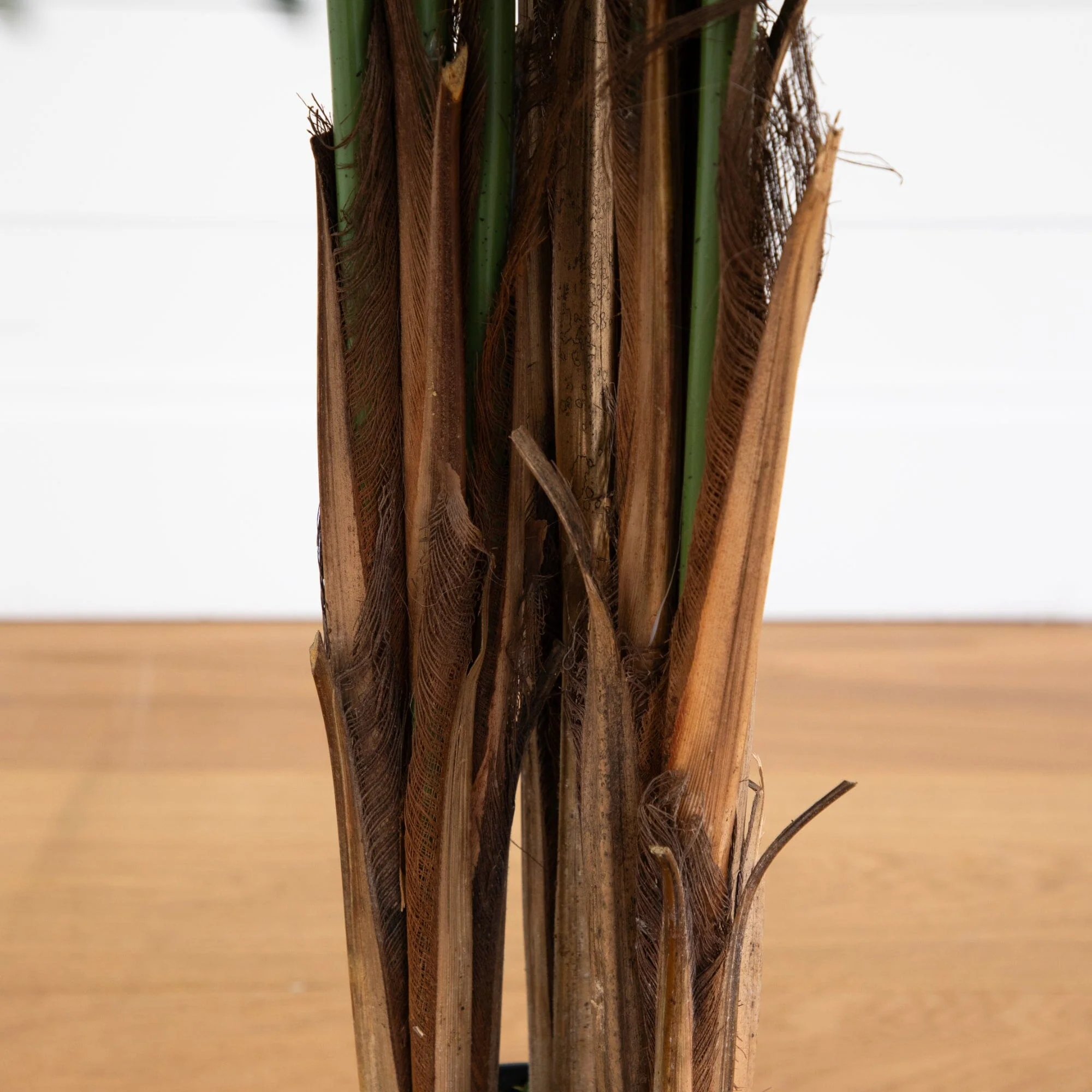 6’ Areca Palm Tree - Image 5