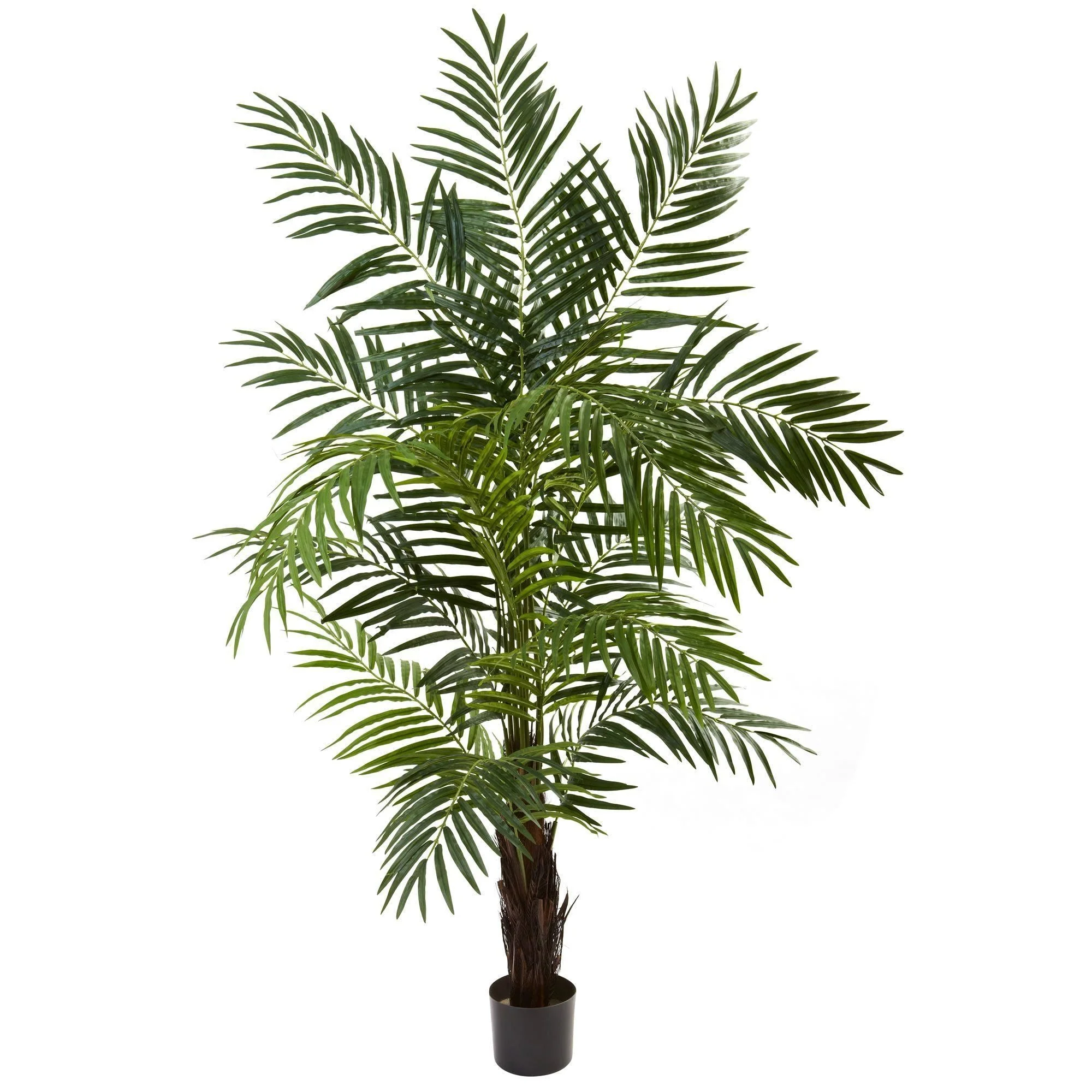 6’ Areca Palm Tree - Image 7