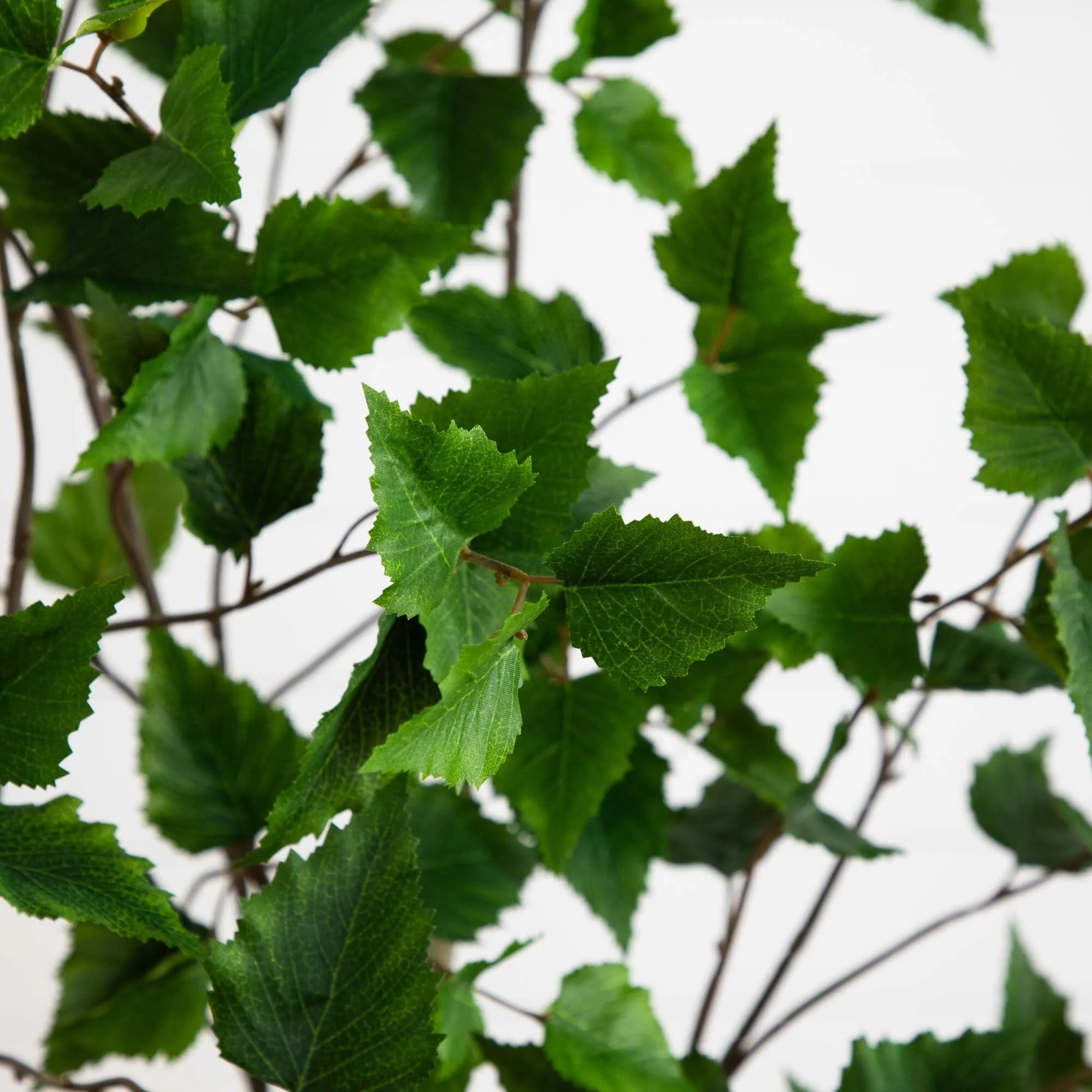 6’ Artificial Birch Tree with Real Touch Leaves - Image 2