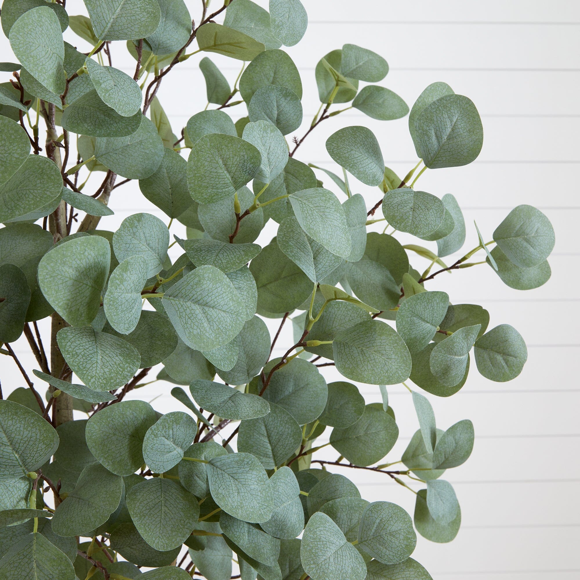 6’ Artificial Eucalyptus Tree - Image 2