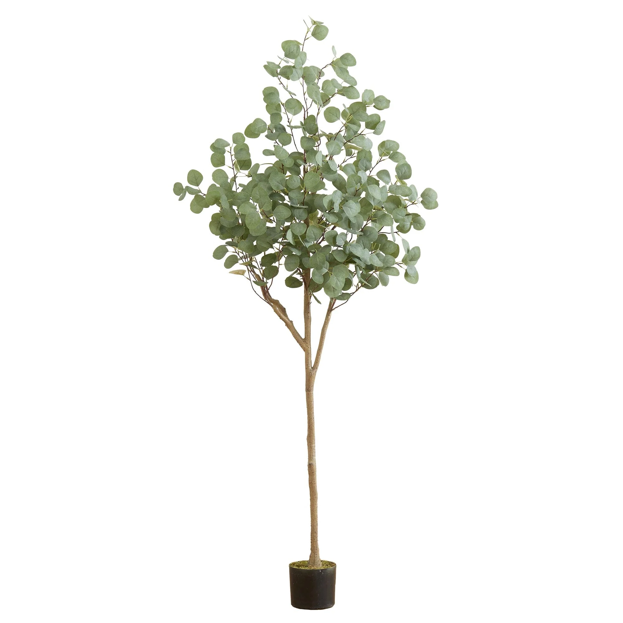 6’ Artificial Eucalyptus Tree - Image 5