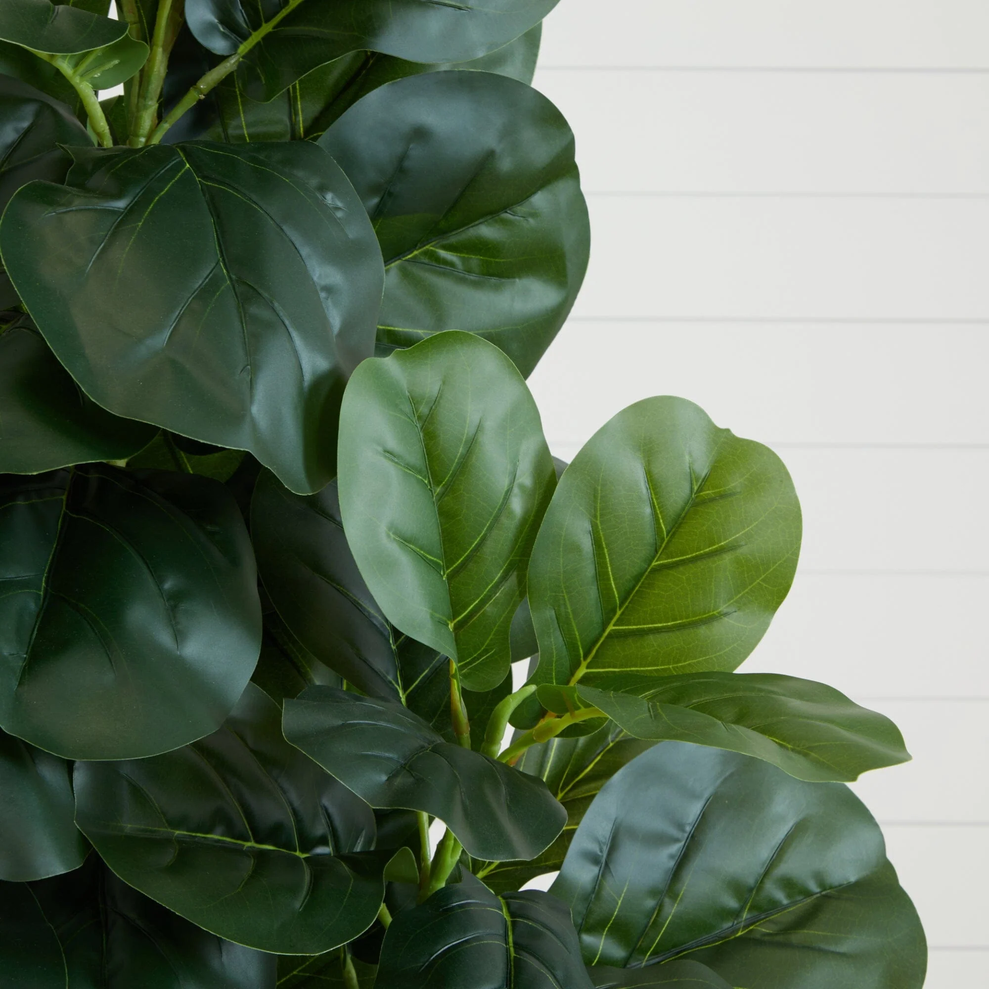 6’ Artificial Fiddle Leaf Fig Tree - Image 2