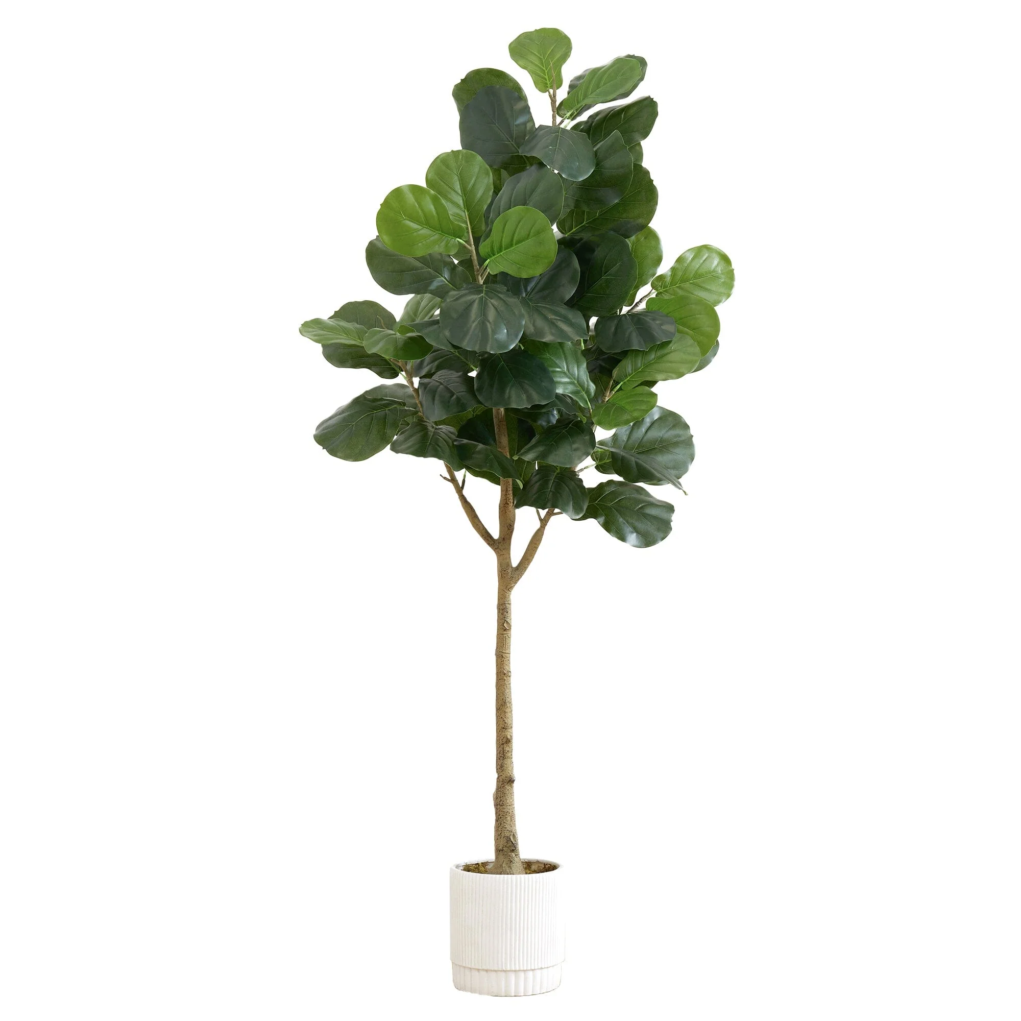 6’ Artificial Fiddle Leaf Fig Tree with White Decorative Planter - Image 6