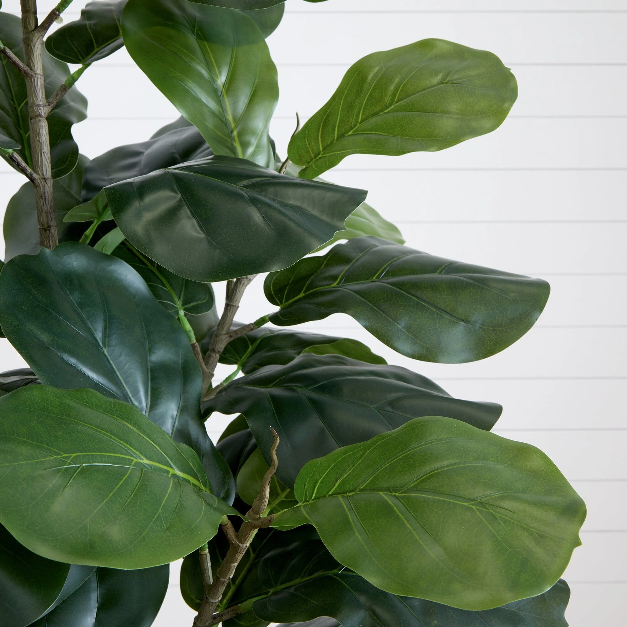 6’ Artificial Fiddle Leaf Tree - Image 2