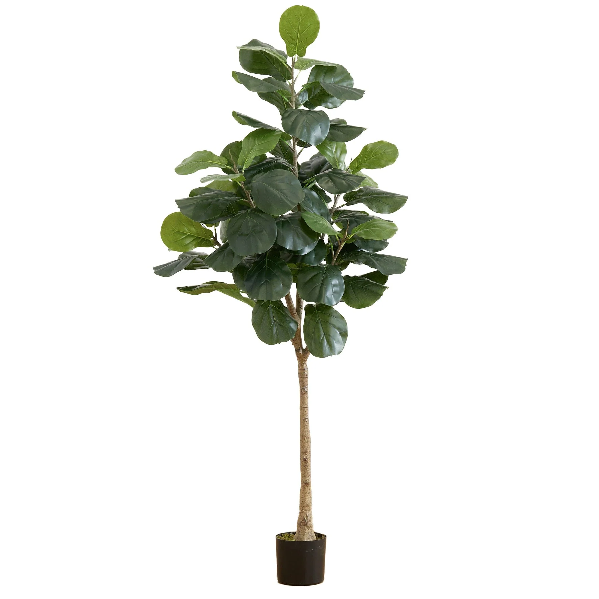 6’ Artificial Fiddle Leaf Tree - Image 5