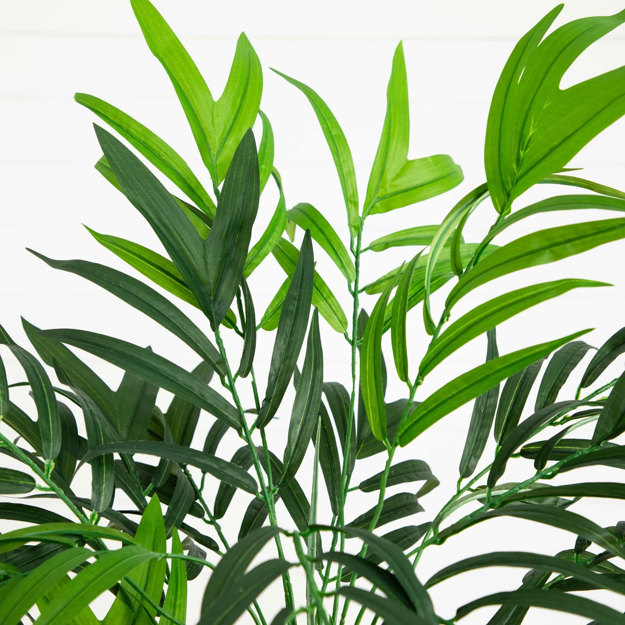6' Artificial Green Bamboo Palm Silk Tree - Image 2