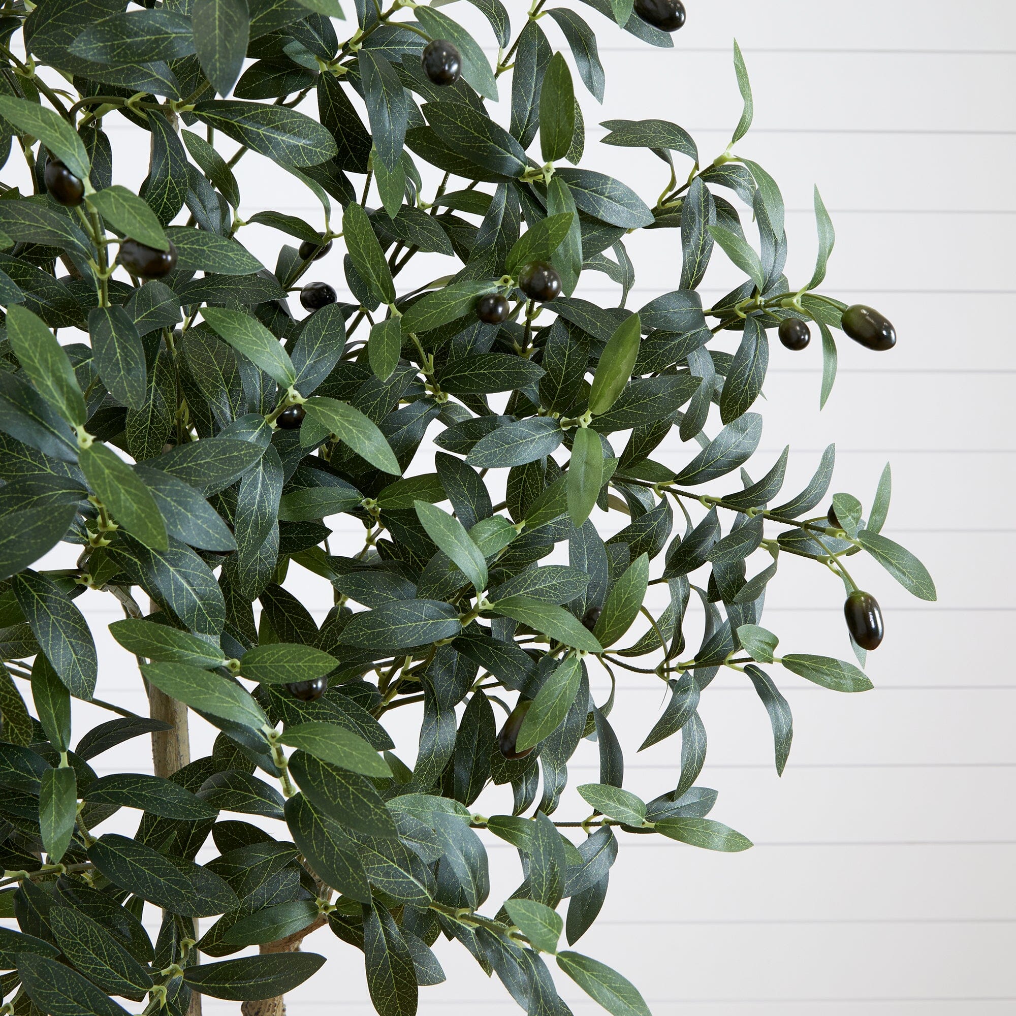 6’ Artificial Olive Tree with White Decorative Planter - Image 5
