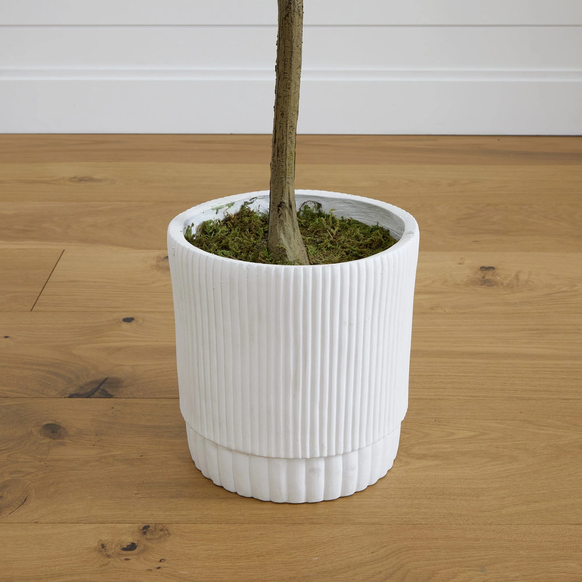 6’ Artificial Olive Tree with White Decorative Planter - Image 6