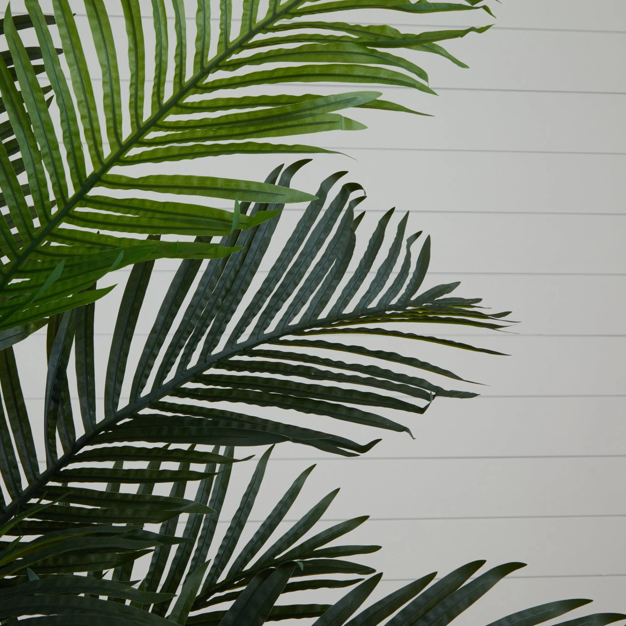 6’ Artificial Paradise Palm Tree - Image 2