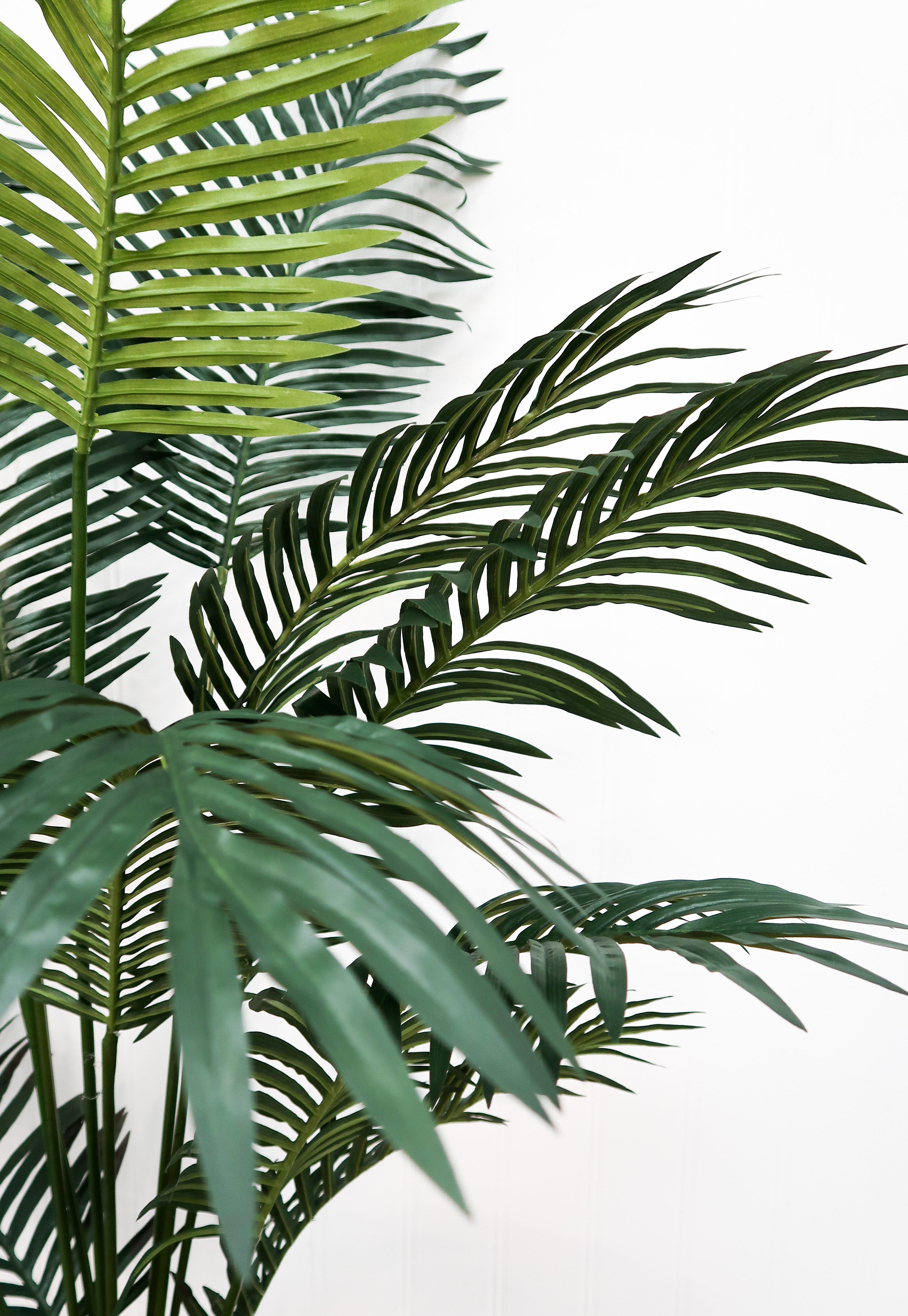 6’ Artificial Paradise Palm Tree - Image 5