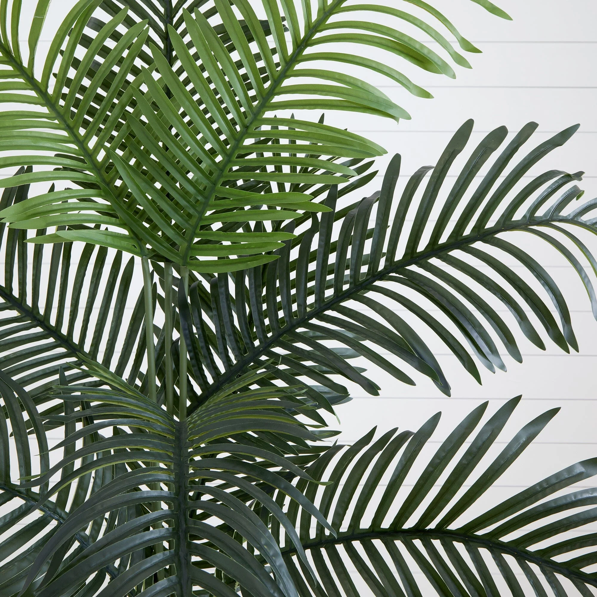 6’ Artificial Paradise Palm with White Decorative Planter - Image 2