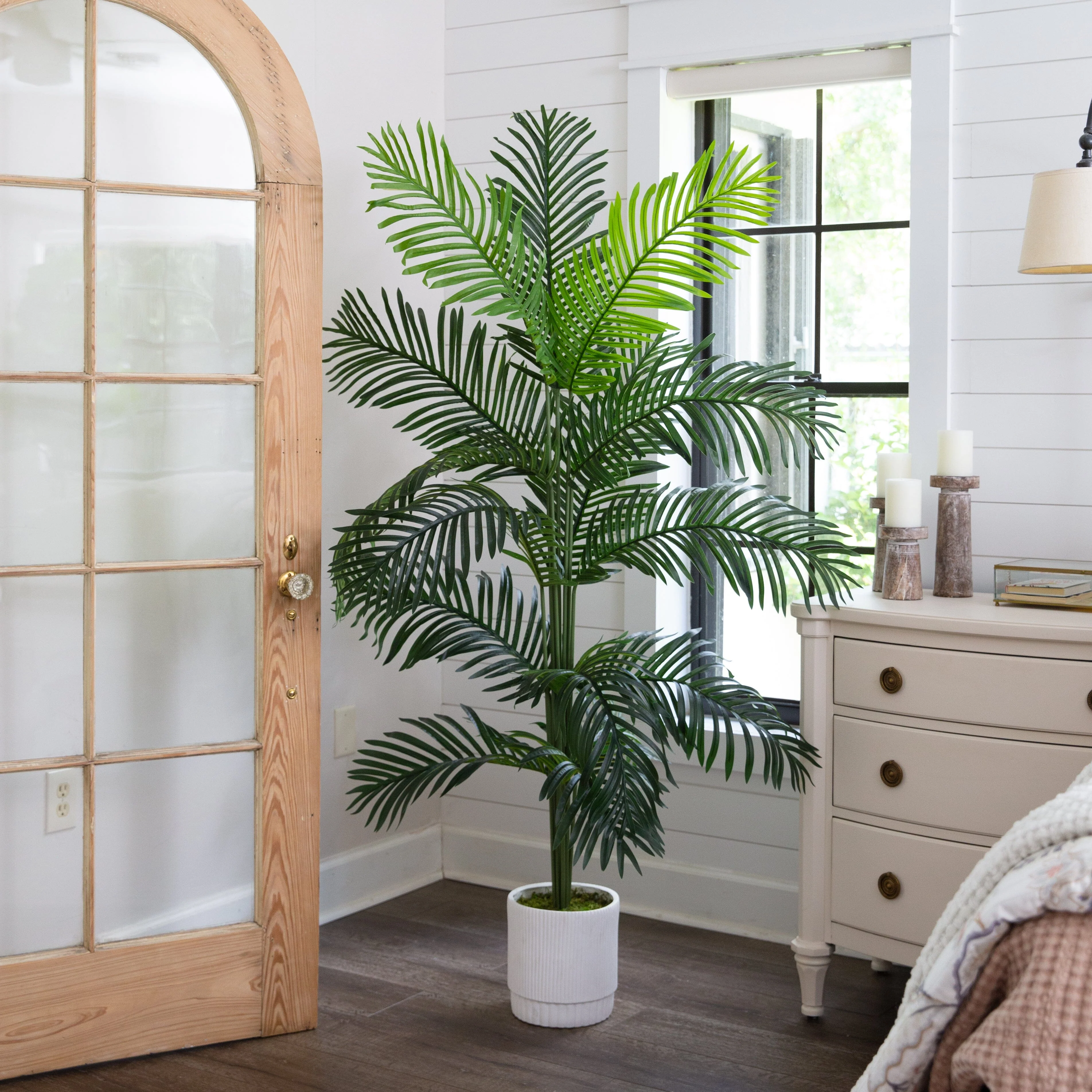 6’ Artificial Paradise Palm with White Decorative Planter - Image 3