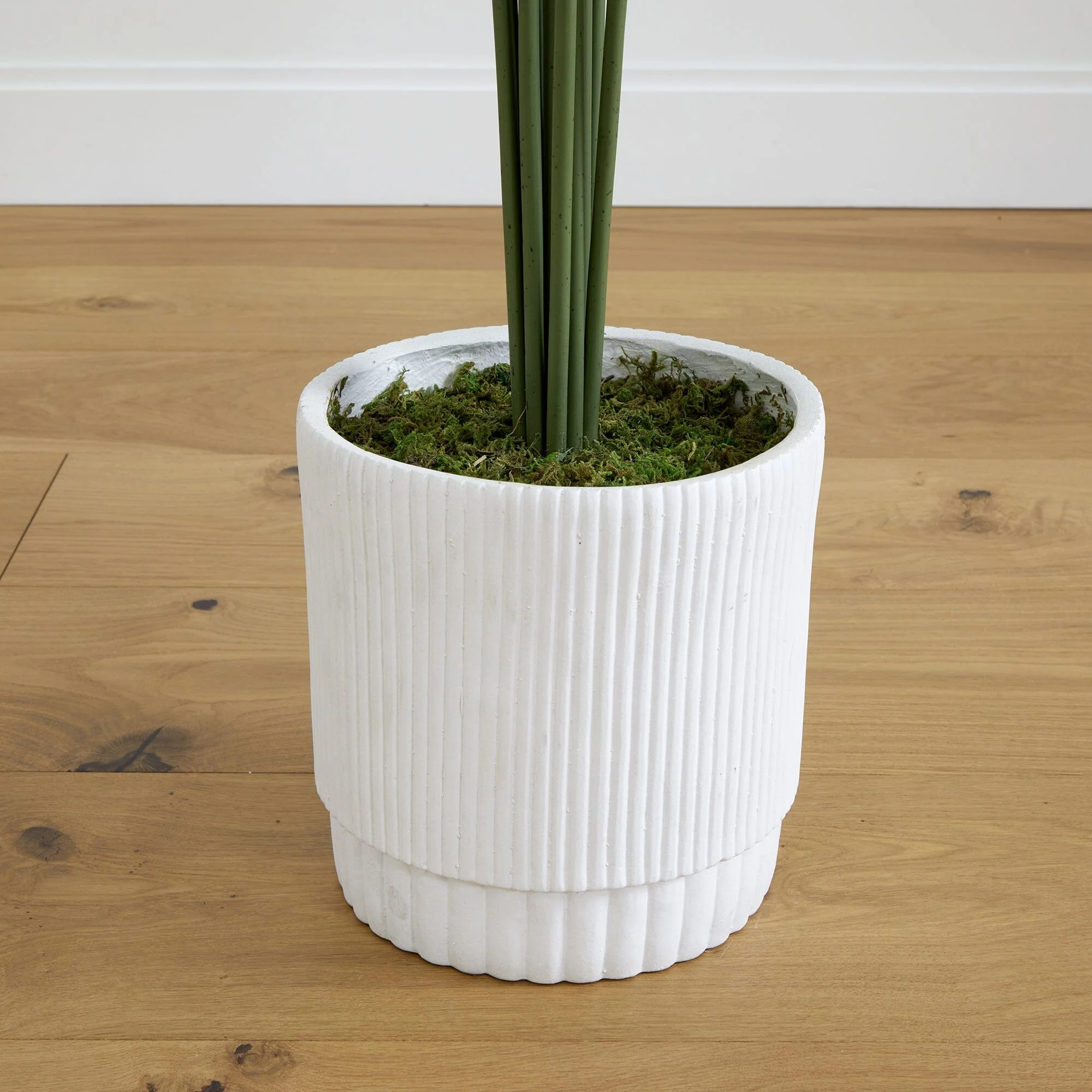6’ Artificial Paradise Palm with White Decorative Planter - Image 5