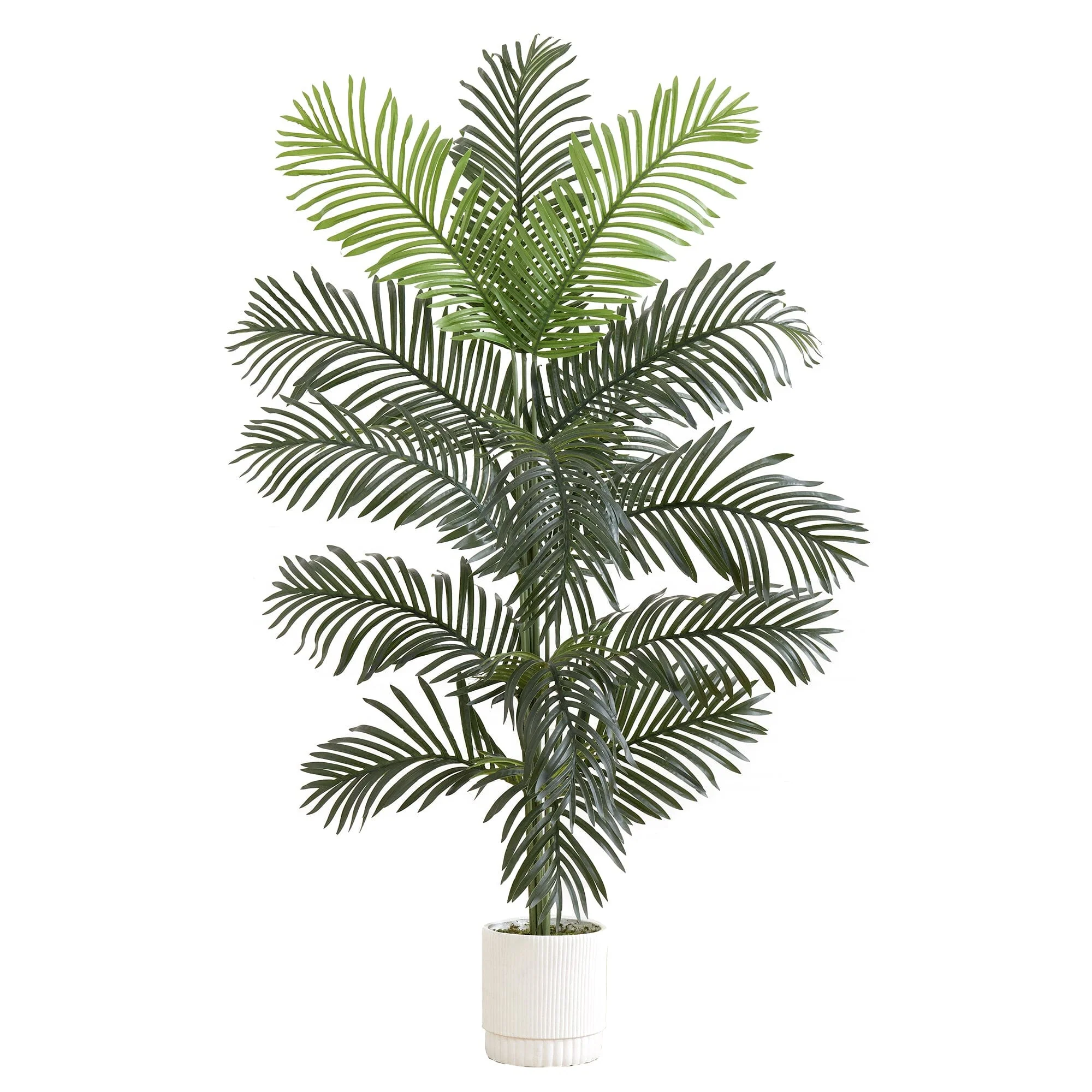 6’ Artificial Paradise Palm with White Decorative Planter - Image 7